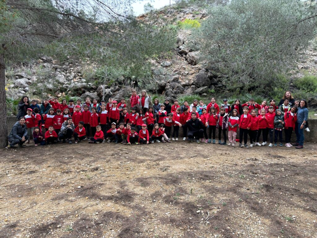 comunitat de mitjans a Benifallet