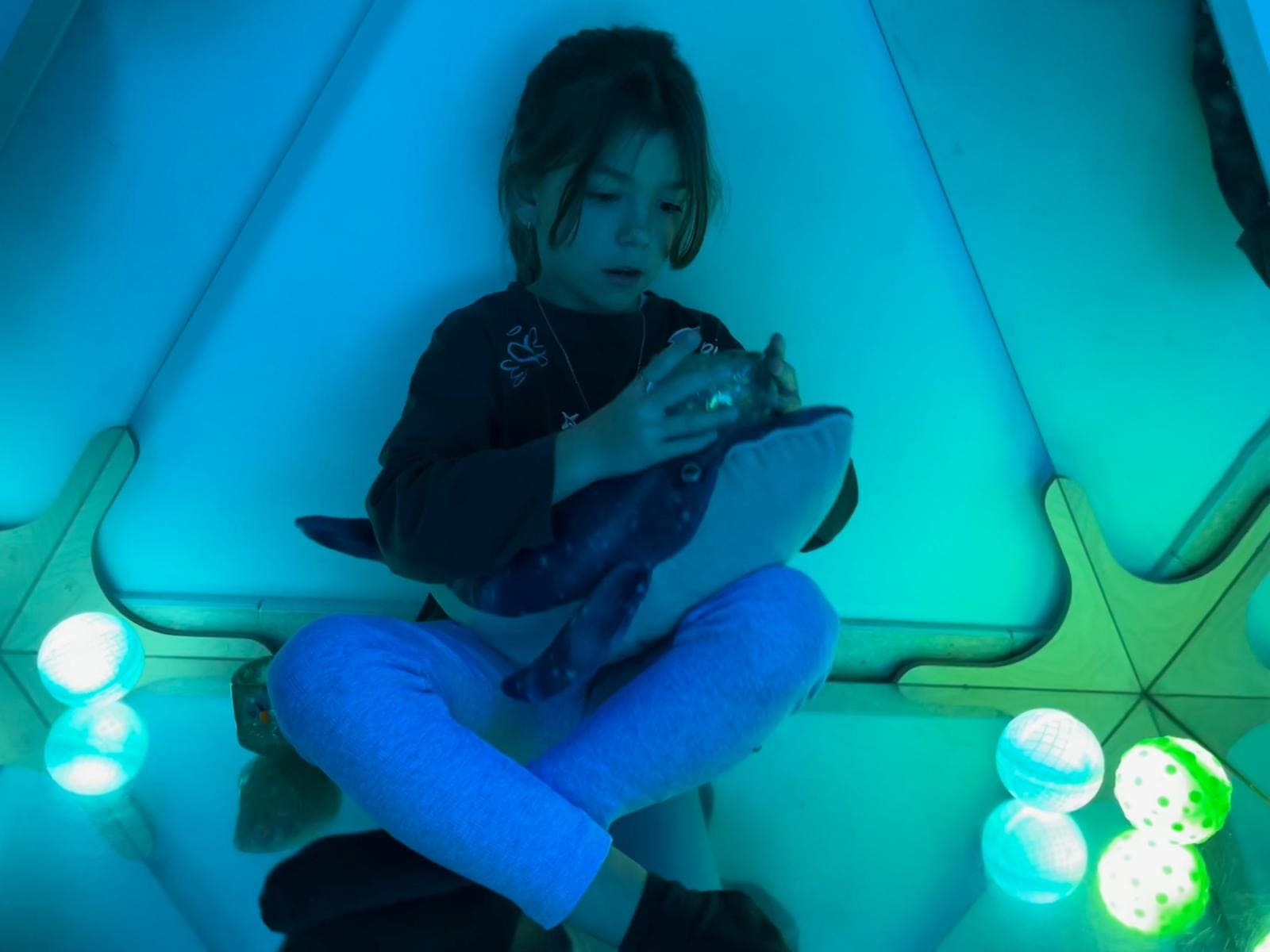 ed25d17a-0a9c-4505-9e8a-a2080ffdc854