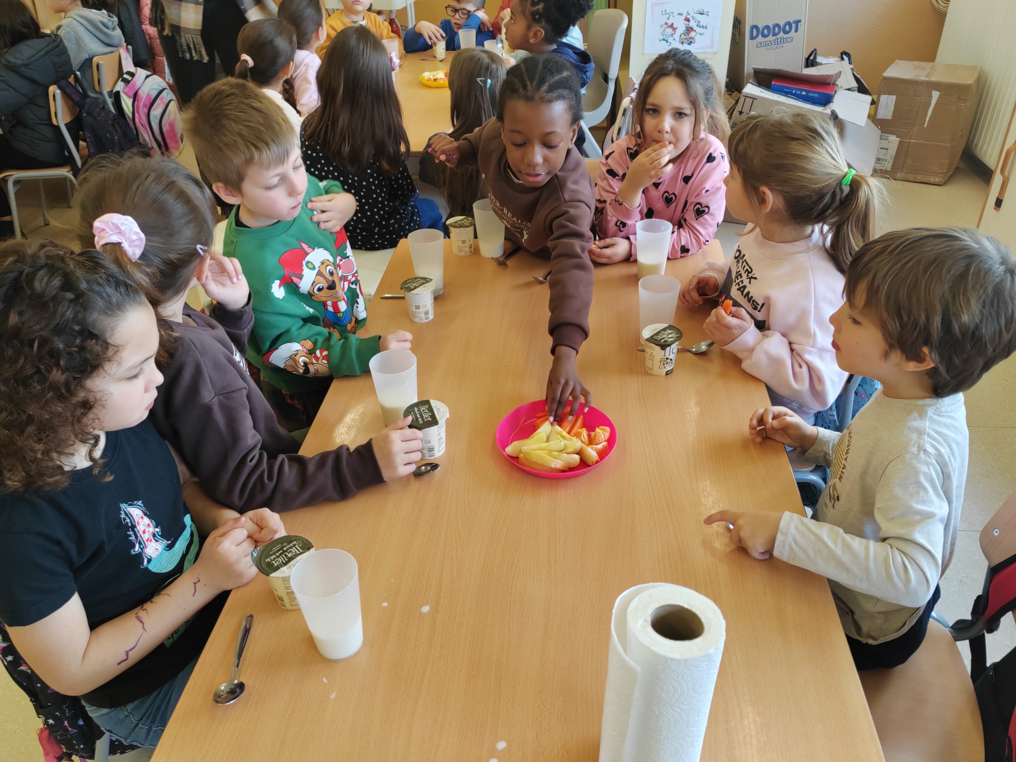 WhatsApp Image 2026-02-03 at 19.14.21 (2)