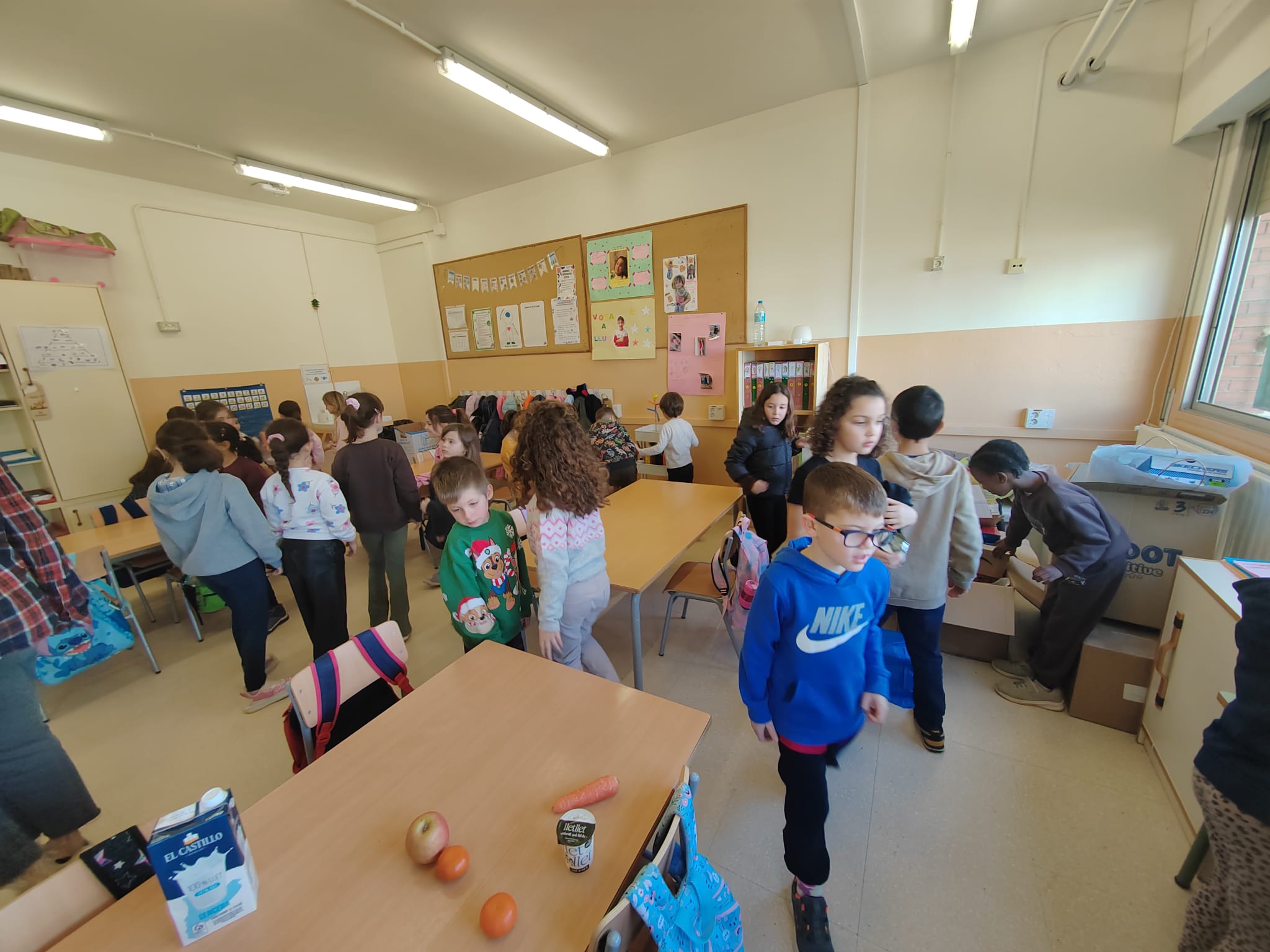 WhatsApp Image 2026-02-03 at 19.14.21 (4)