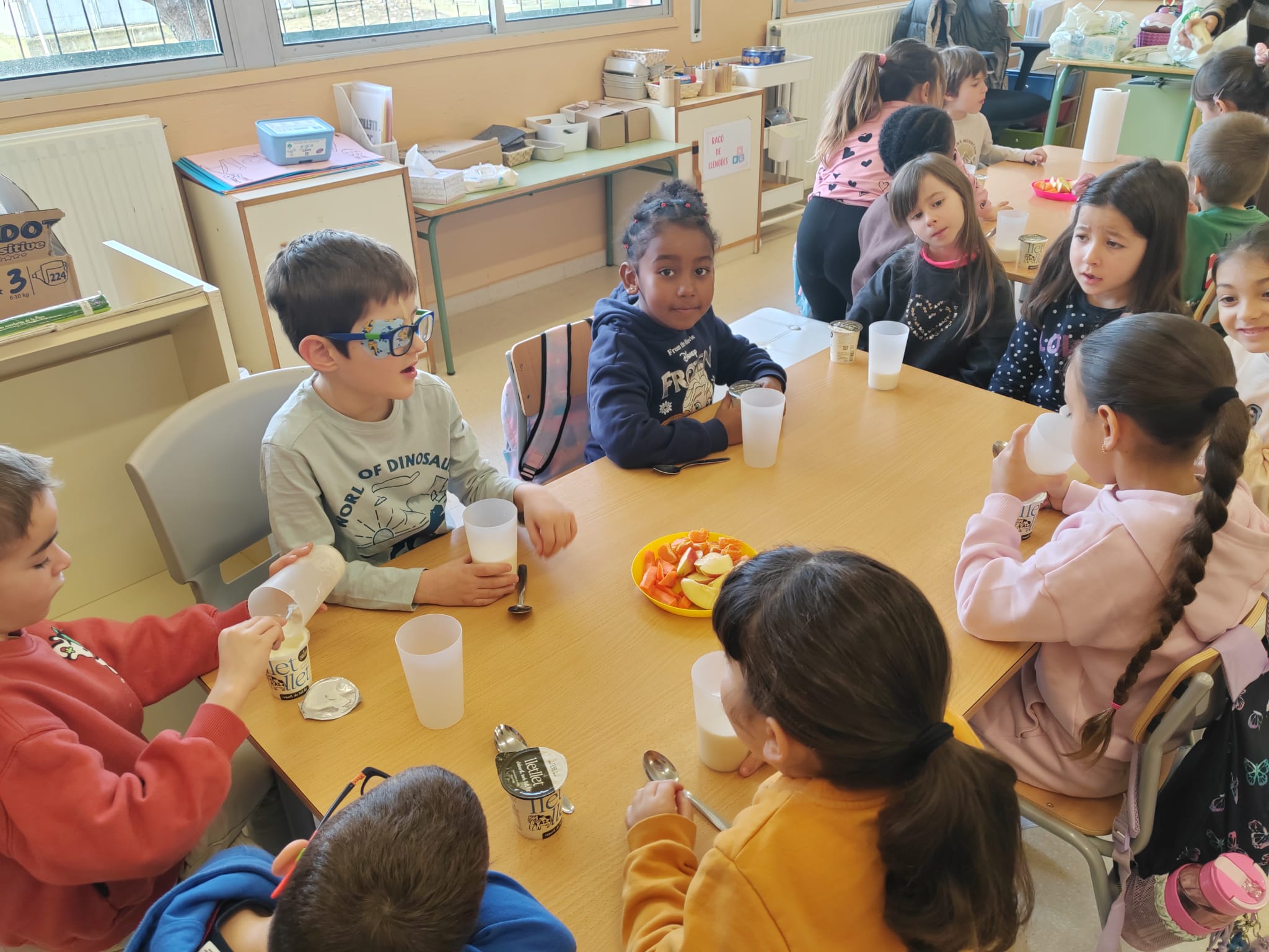 WhatsApp Image 2026-02-03 at 19.14.21