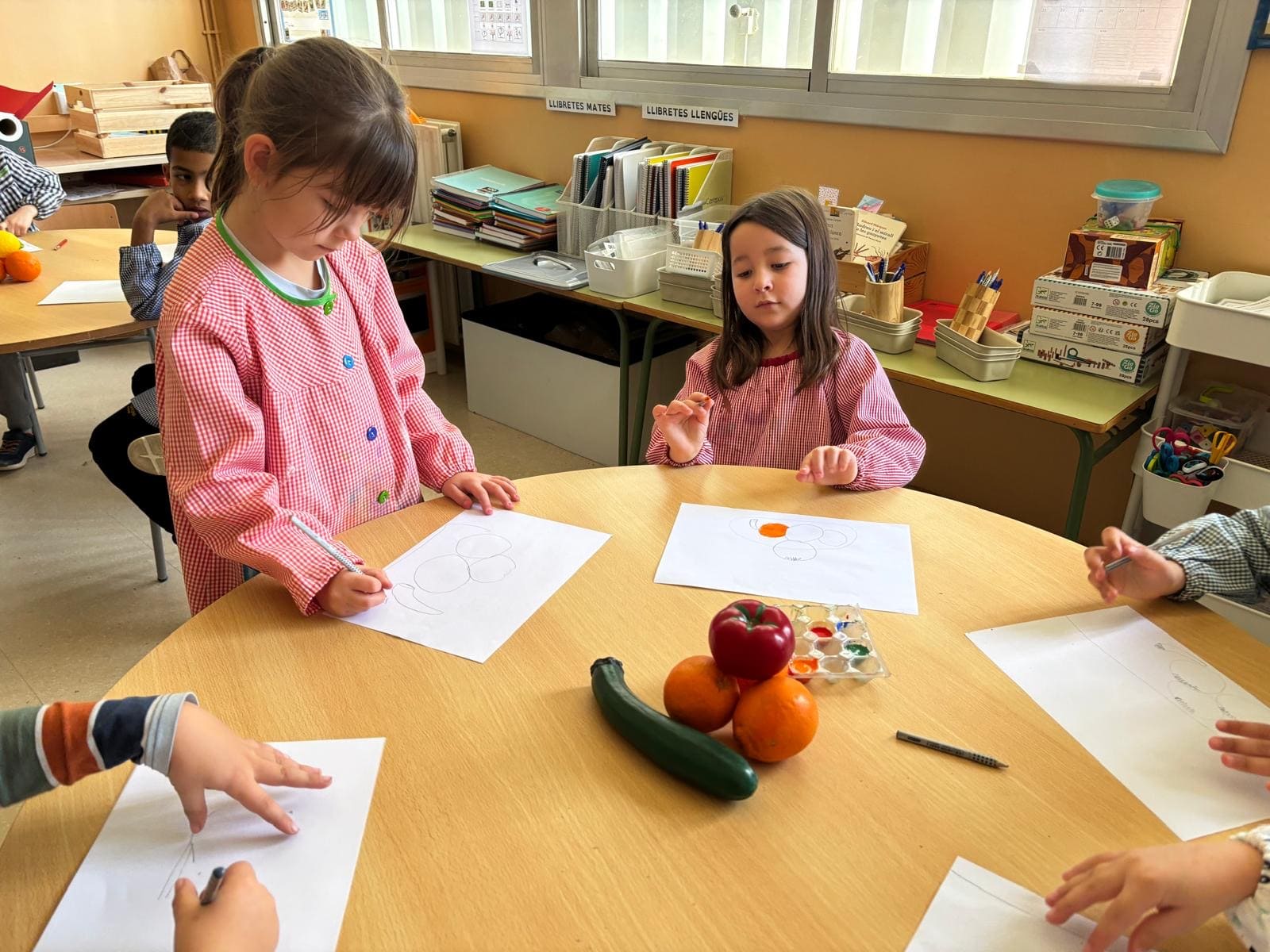 ce913685-1ce1-421f-a08a-158d3d85aafe