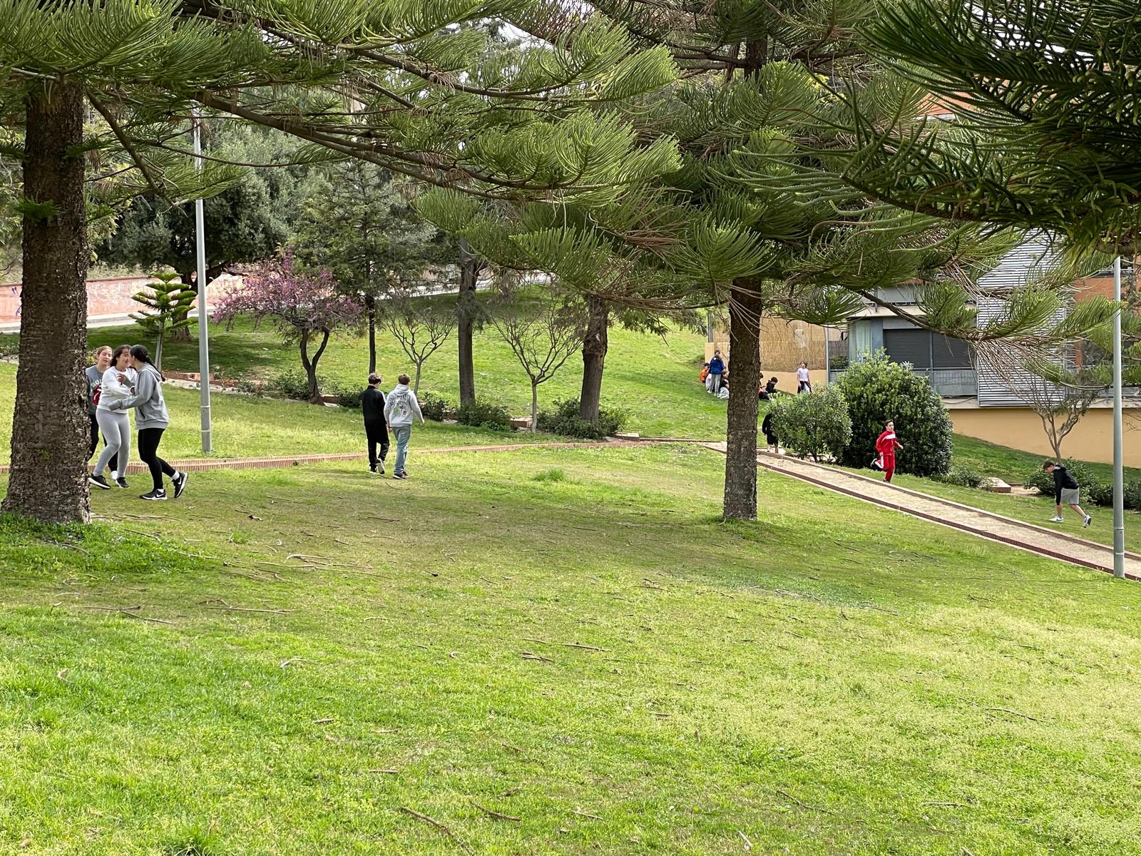 WhatsApp Image 2025-04-21 at 20.02.01