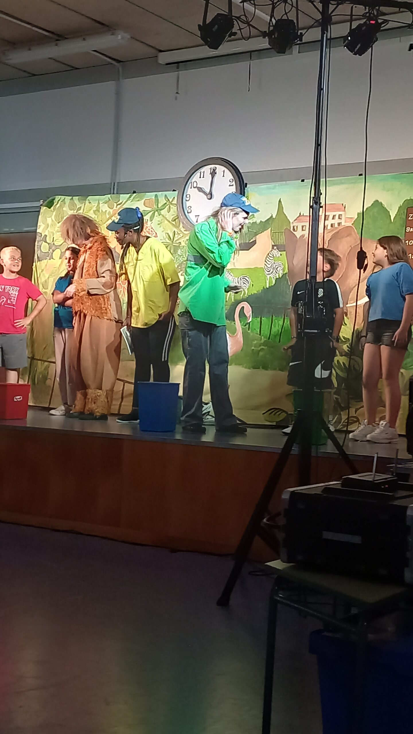 Còpia de 20250519_115113