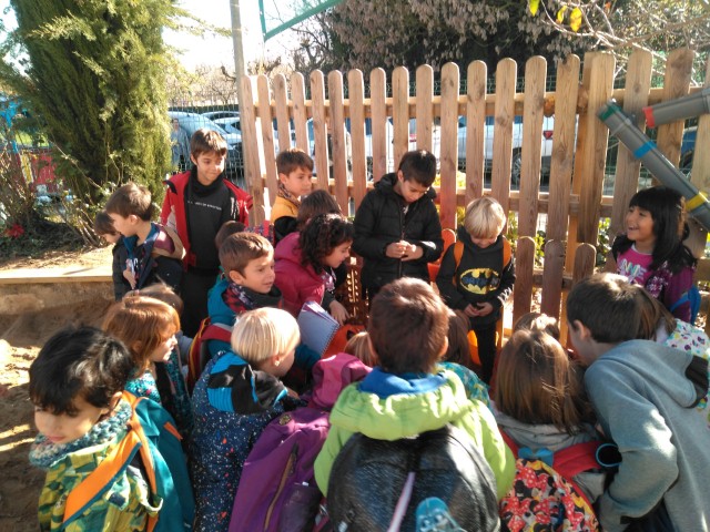 IMG_20181211_123934_852 (Small)