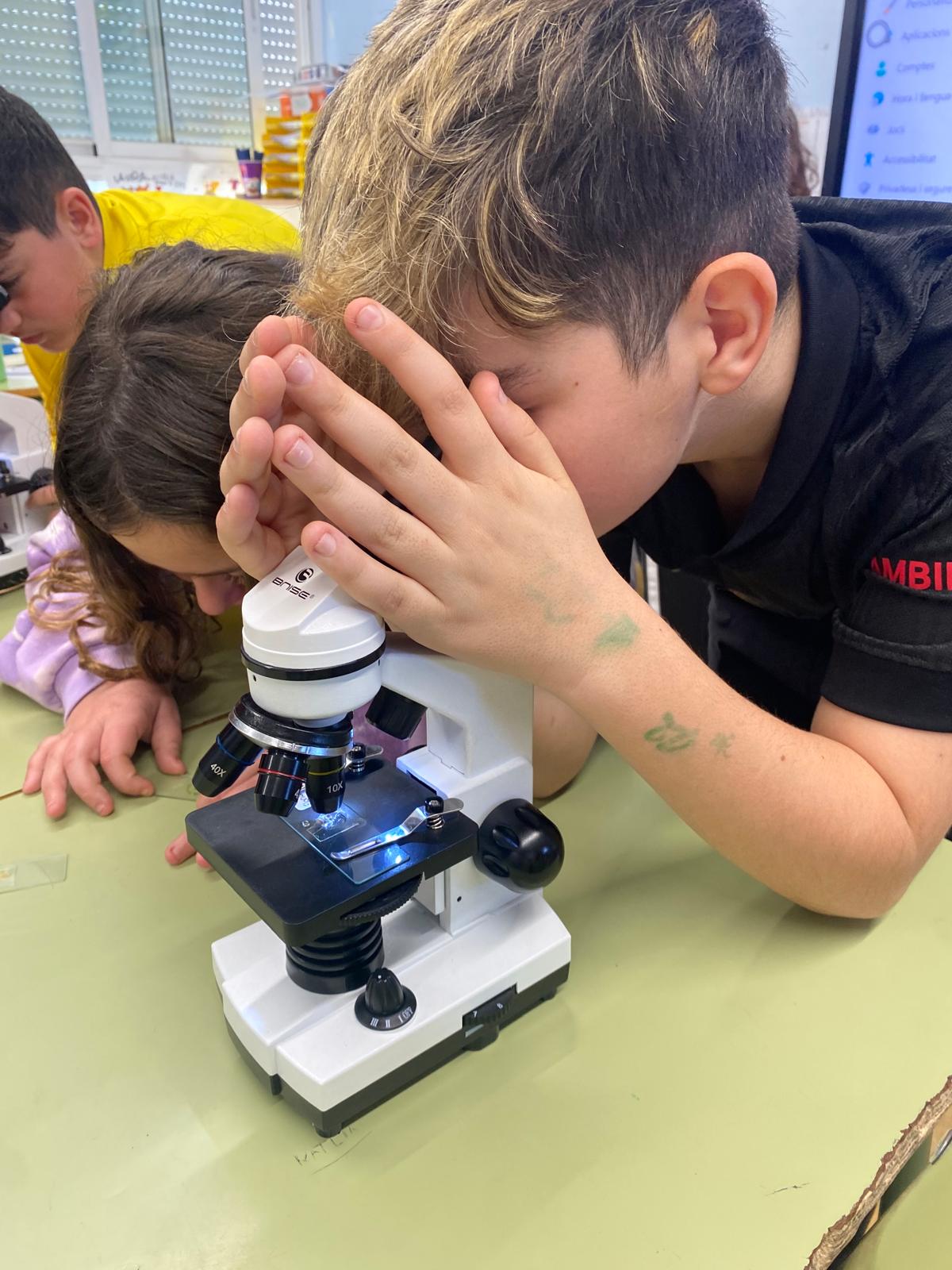 WhatsApp Image 2025-02-14 at 12.16.17 (5)