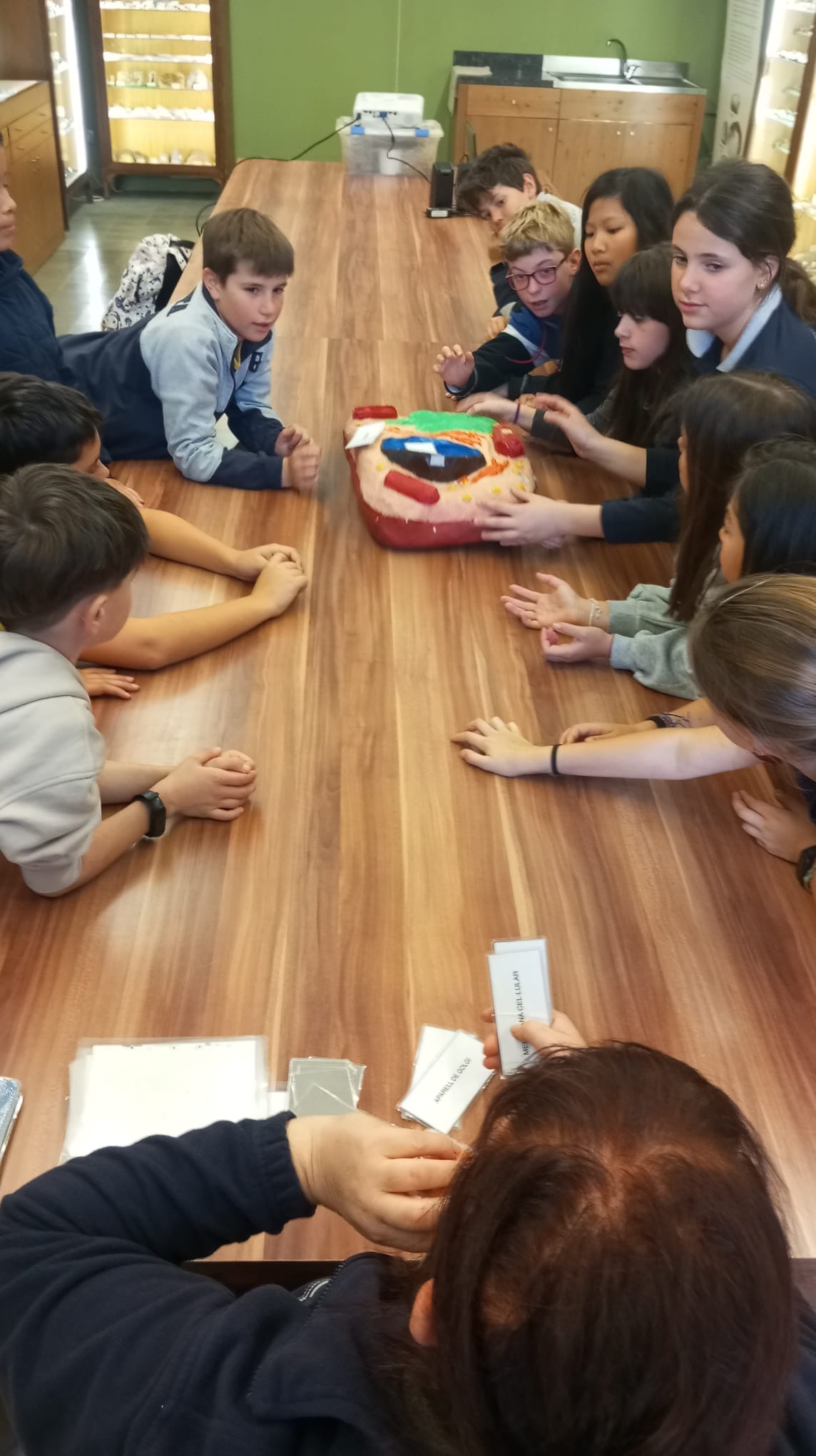 2cd67964-972b-4597-8f04-8c140d89cd0f