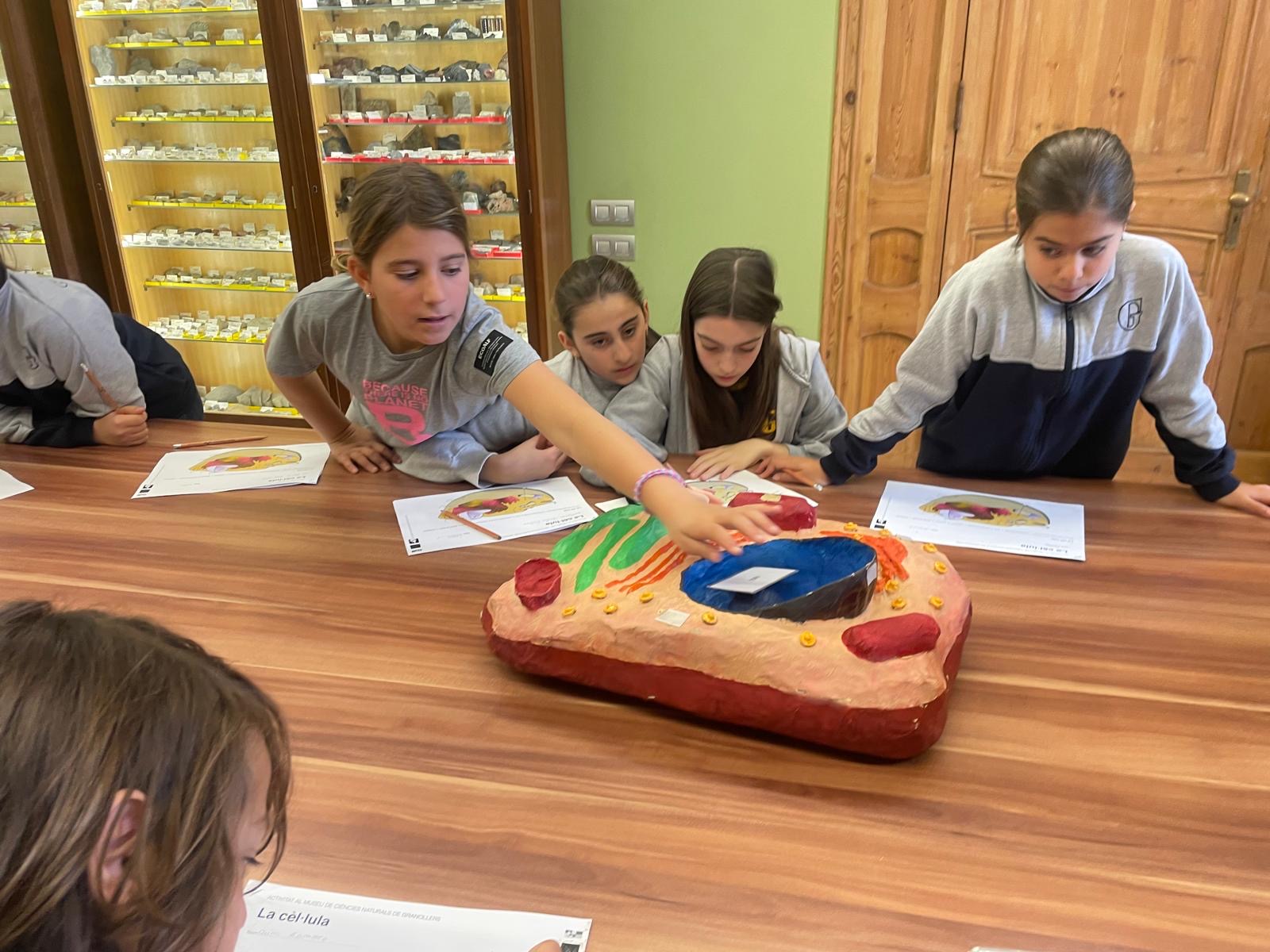 406bc0fd-0936-464f-b784-835cc28d1949