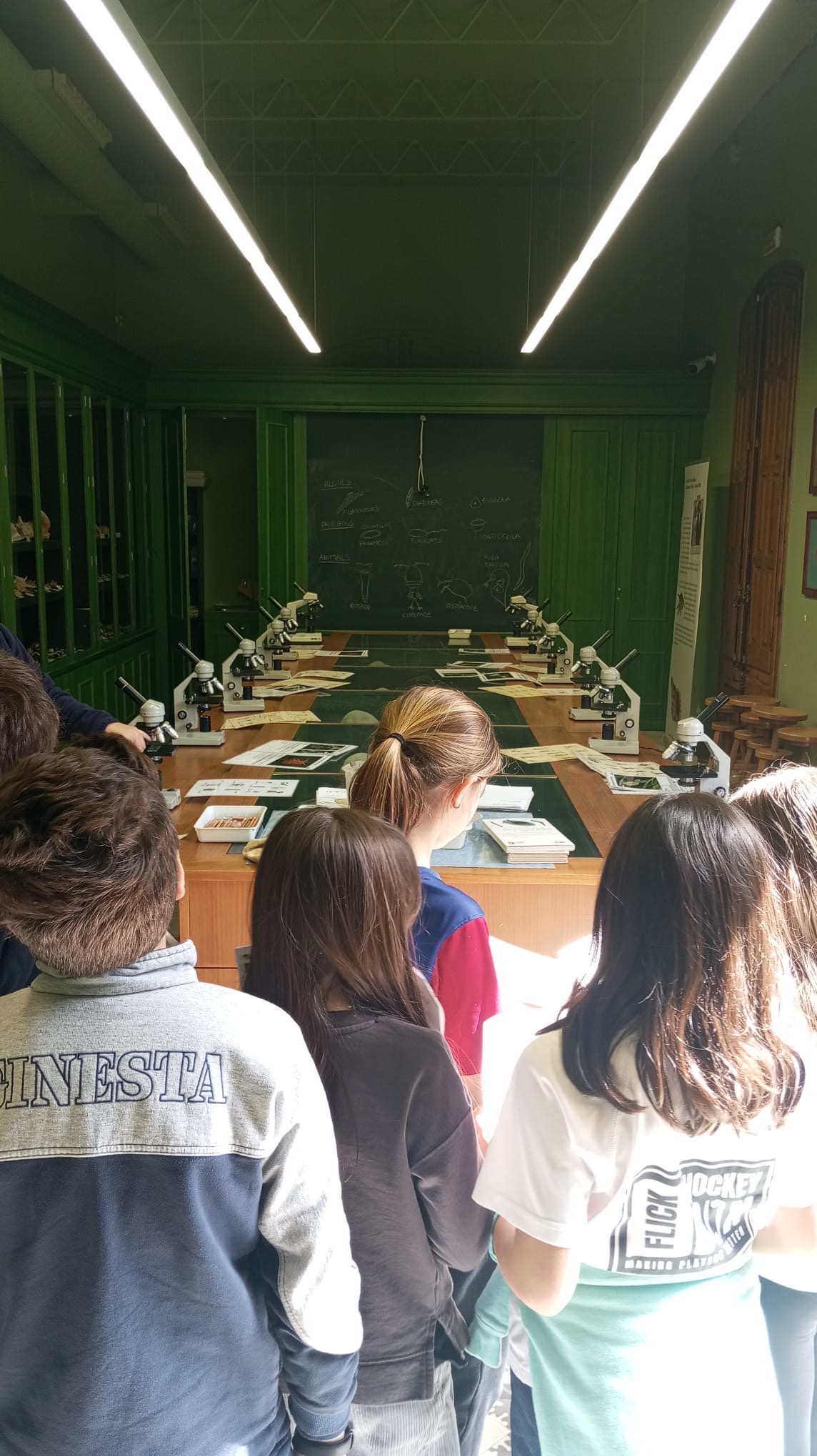 9b1f0782-68ef-49ff-8242-ee6caaeaa8a8