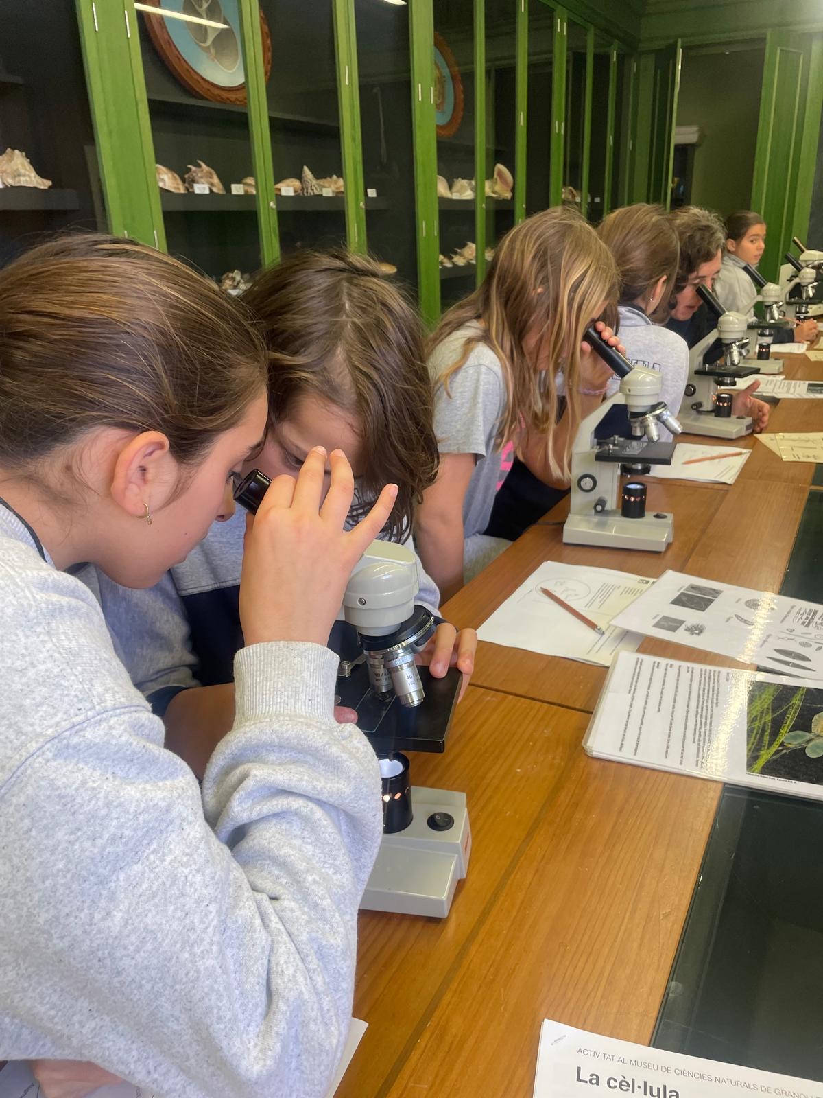 EI- Museu ciències 5è