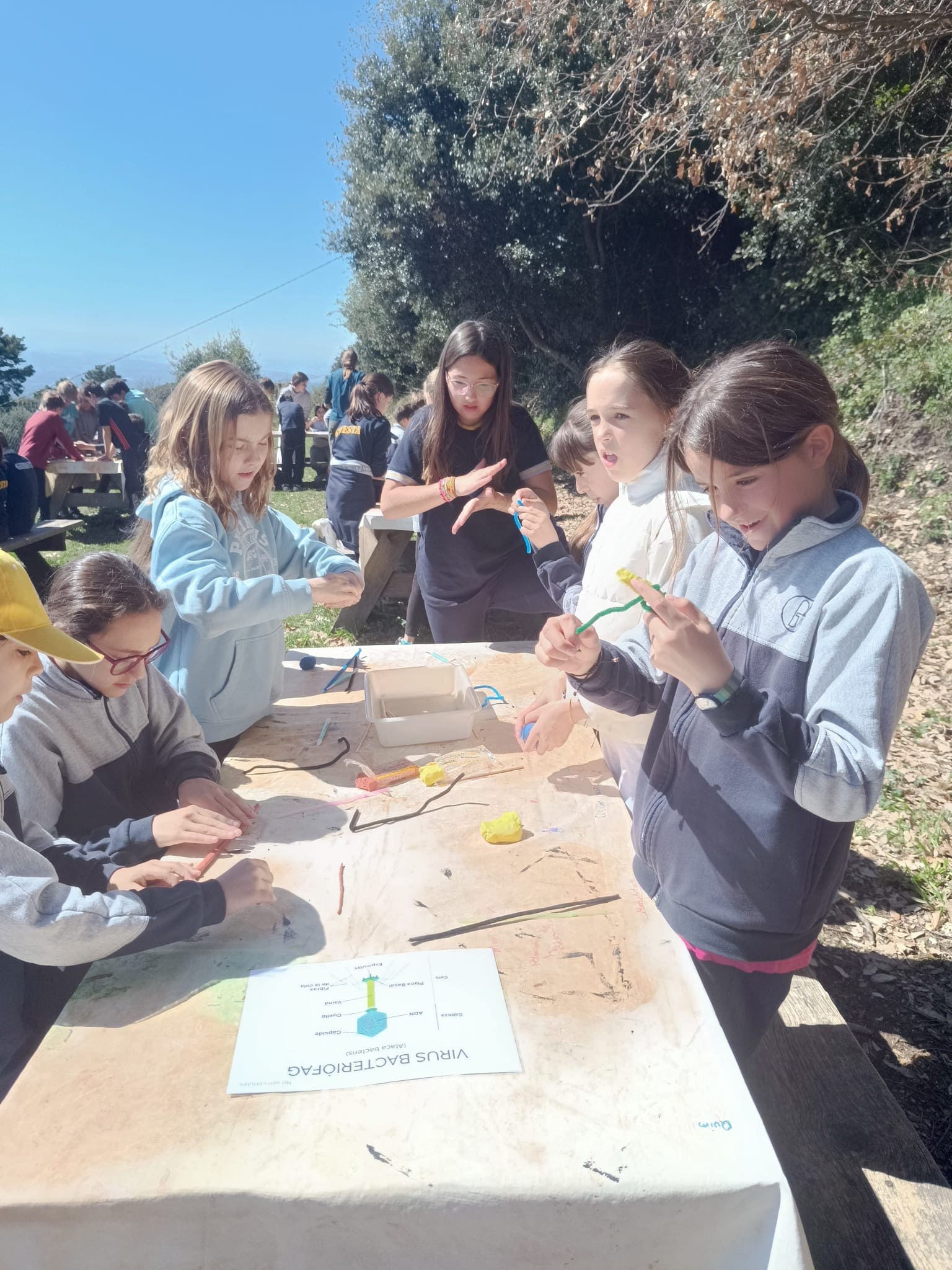 70c55aa0-fec0-4642-bf1a-ce0a70981001