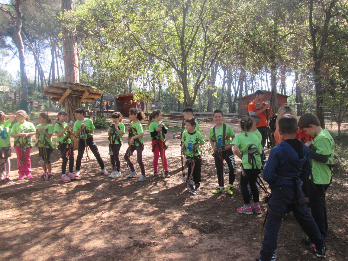 Fotos grup classe 004