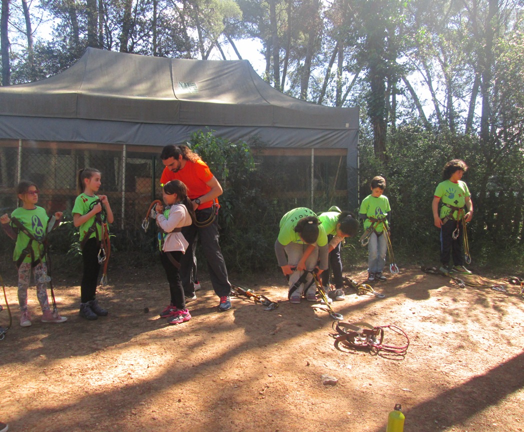 Fotos grup classe 008