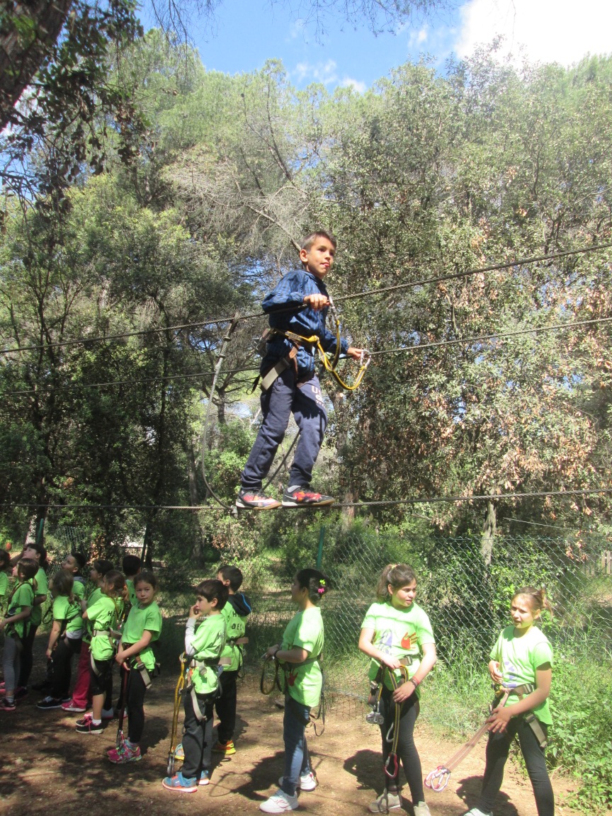 Fotos grup classe 019