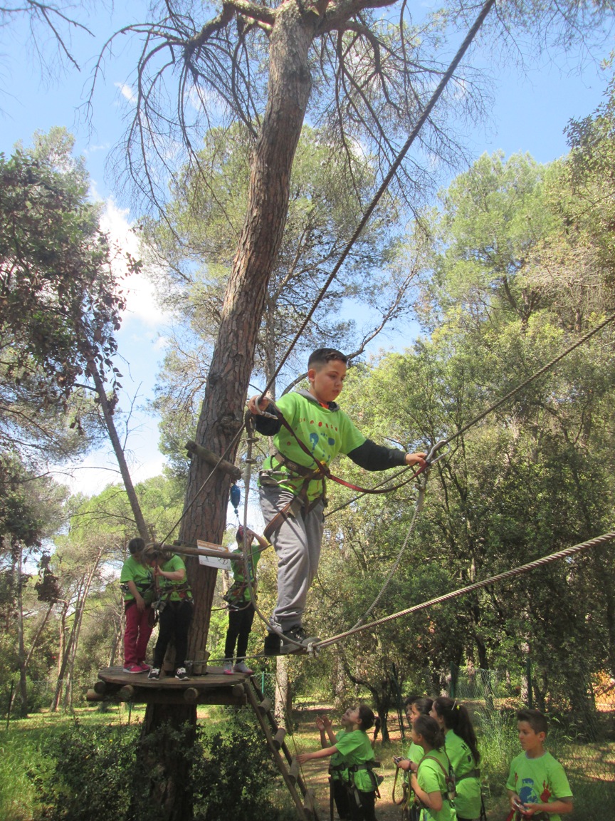 Fotos grup classe 023