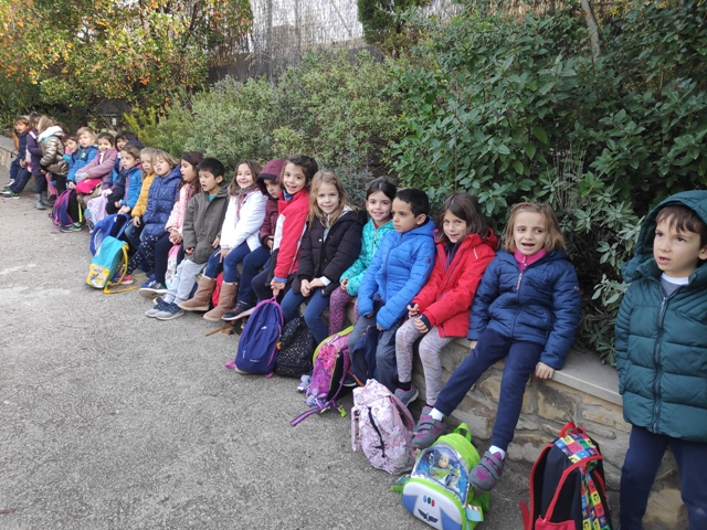 IMG_20191120_105602_1