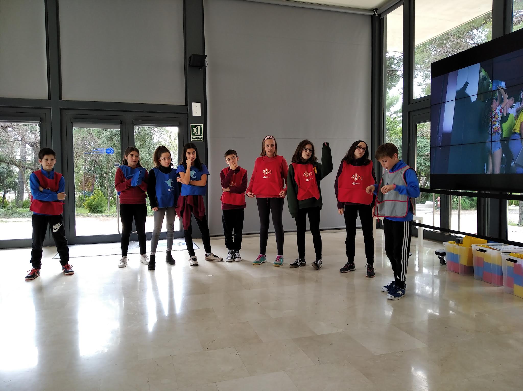 IMG_20200305_114401_1