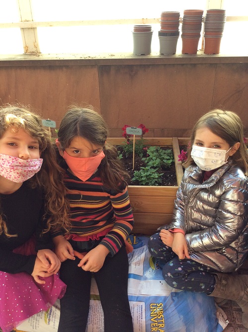 El jardí de la terrasseta 1