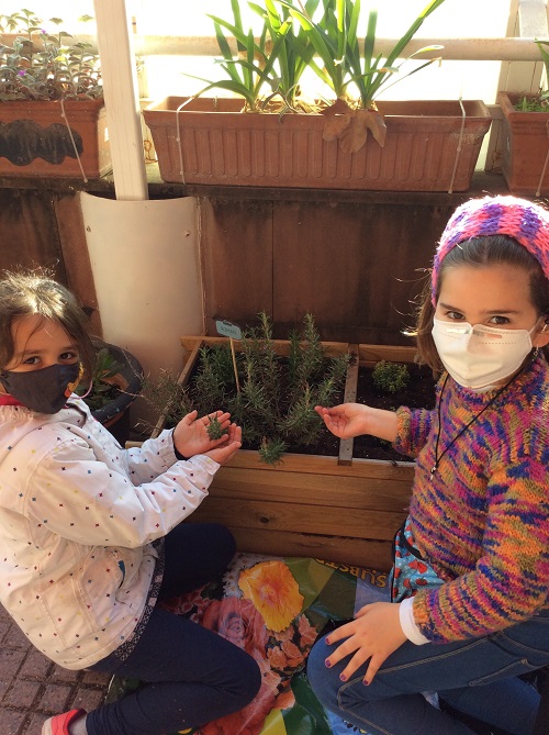 El jardí de la terrasseta 2