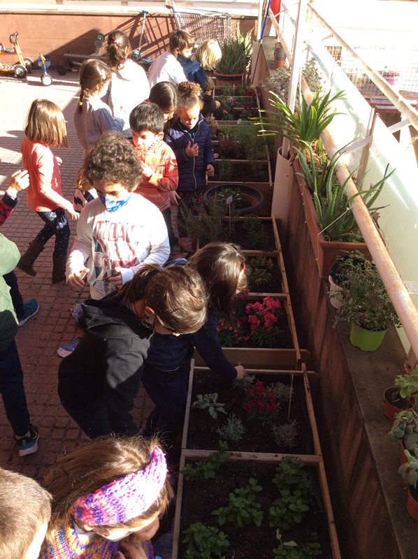 El jardí de la terrasseta 4