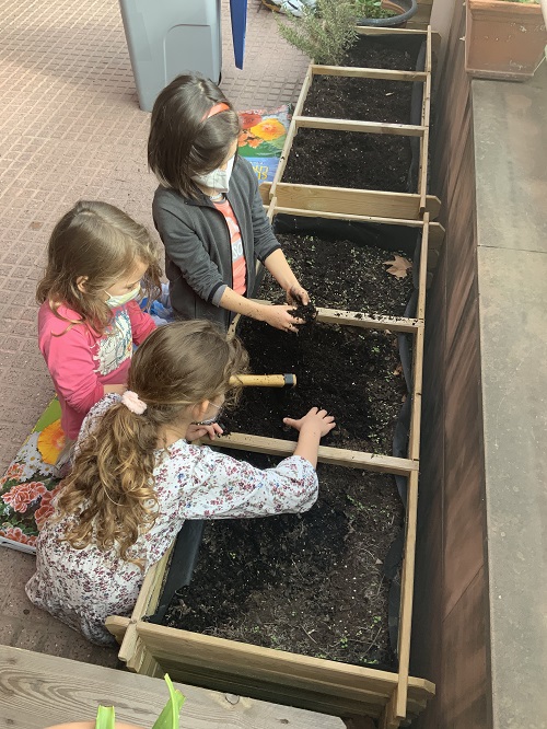 Eljardí de la terrasseta 3