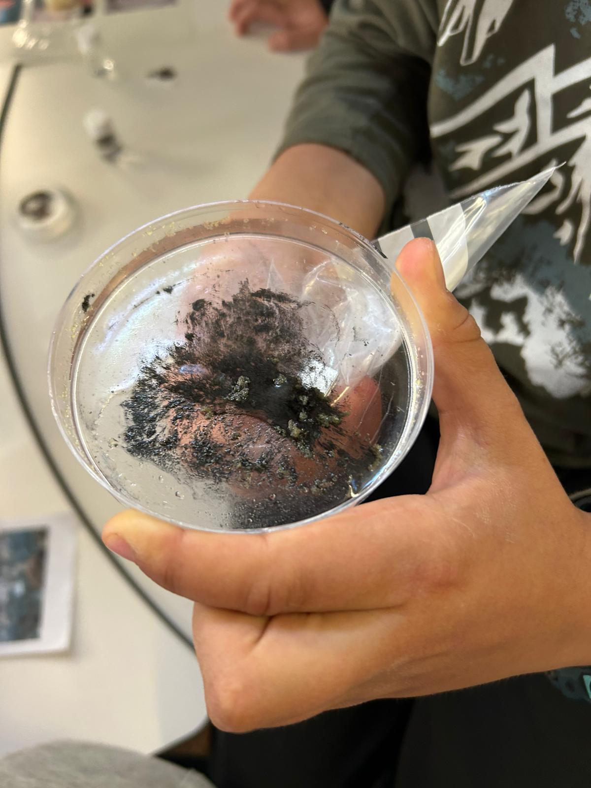 WhatsApp Image 2025-01-20 at 17.17.01