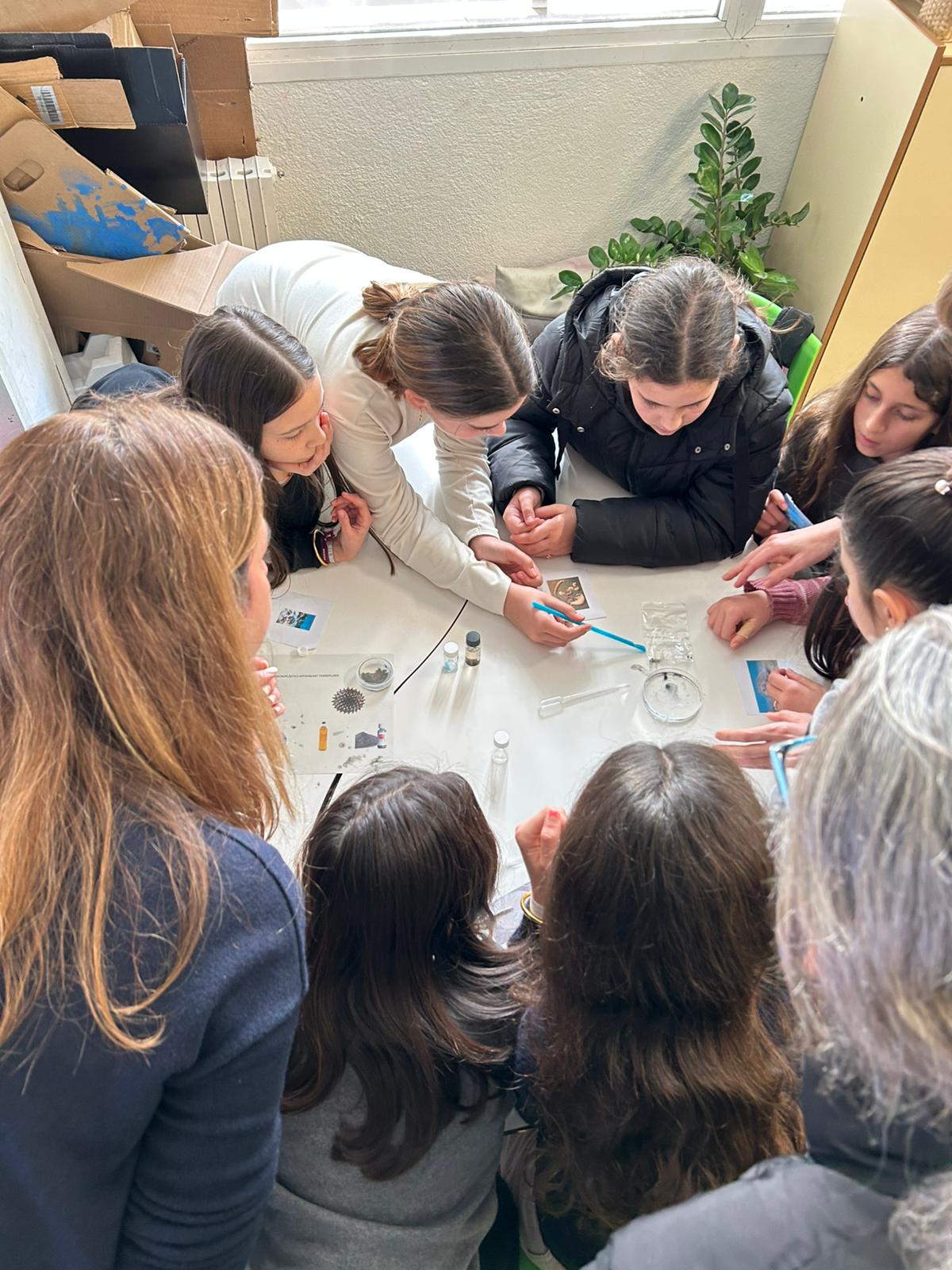 WhatsApp Image 2025-01-20 at 17.17.02 (2)