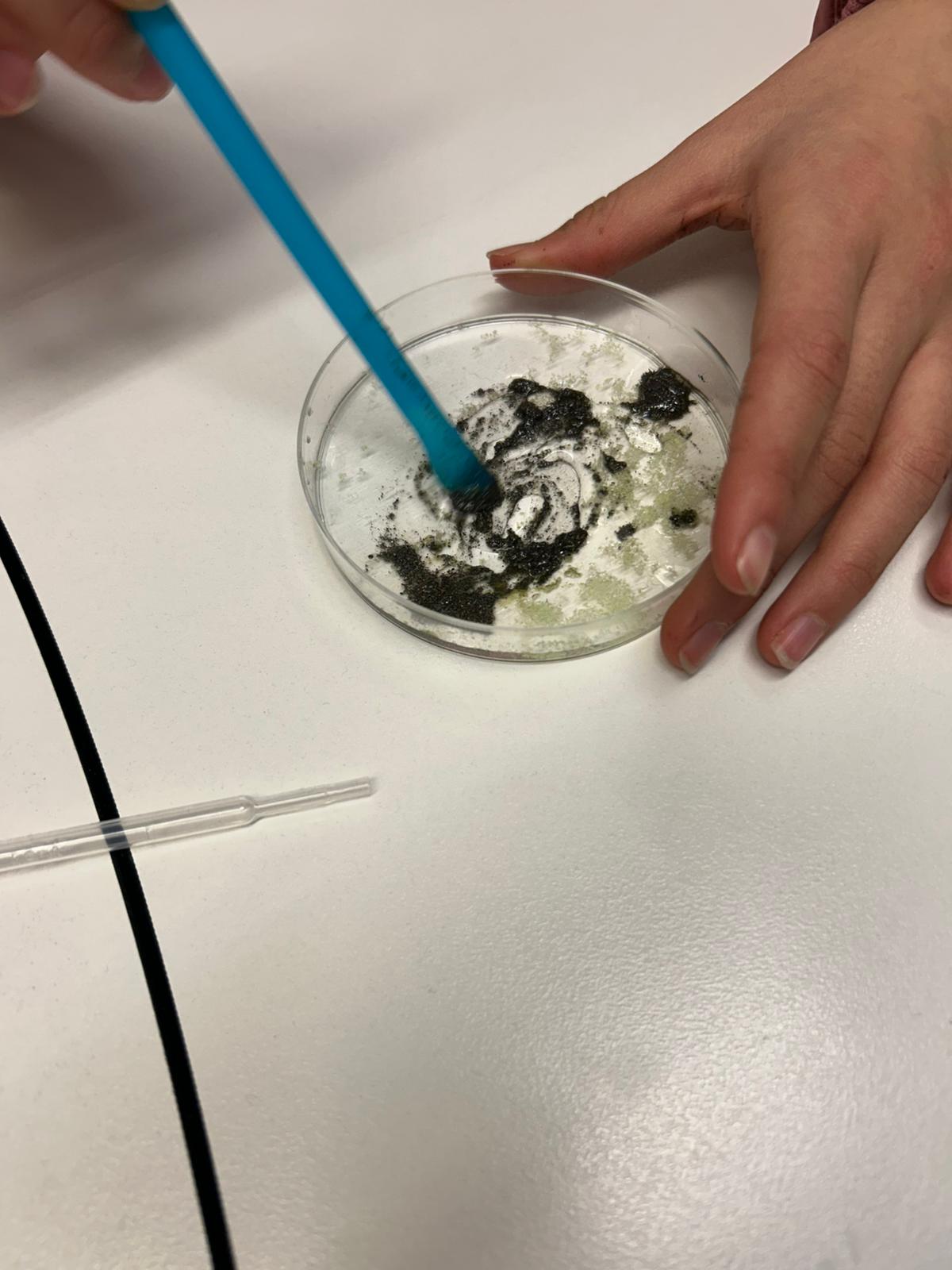 WhatsApp Image 2025-01-20 at 17.17.02