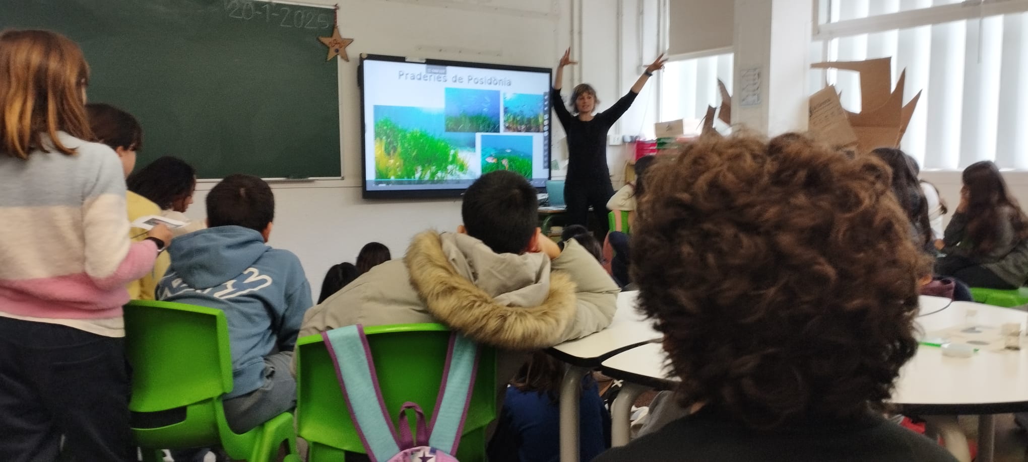 WhatsApp Image 2025-01-20 at 17.35.05