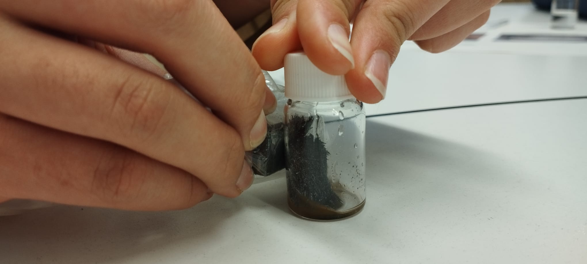 WhatsApp Image 2025-01-20 at 17.35.07