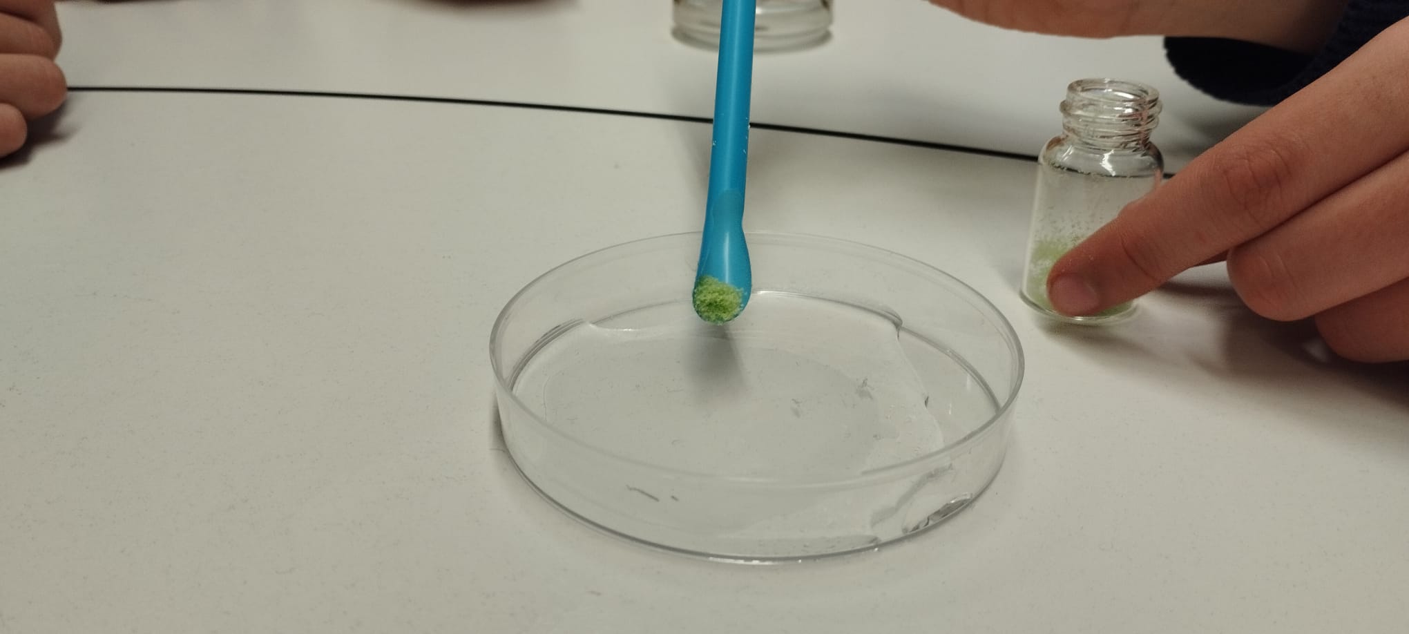 WhatsApp Image 2025-01-20 at 17.35.08 (1)