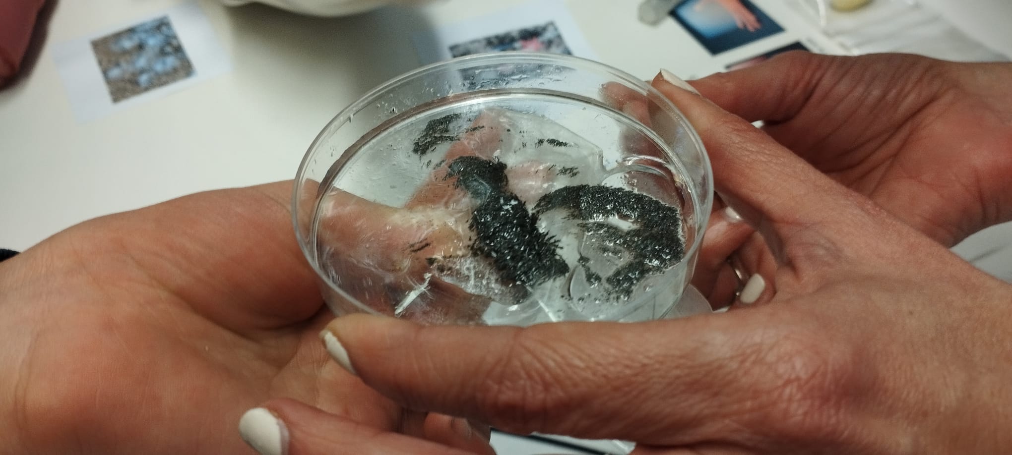 WhatsApp Image 2025-01-20 at 17.35.08 (2)