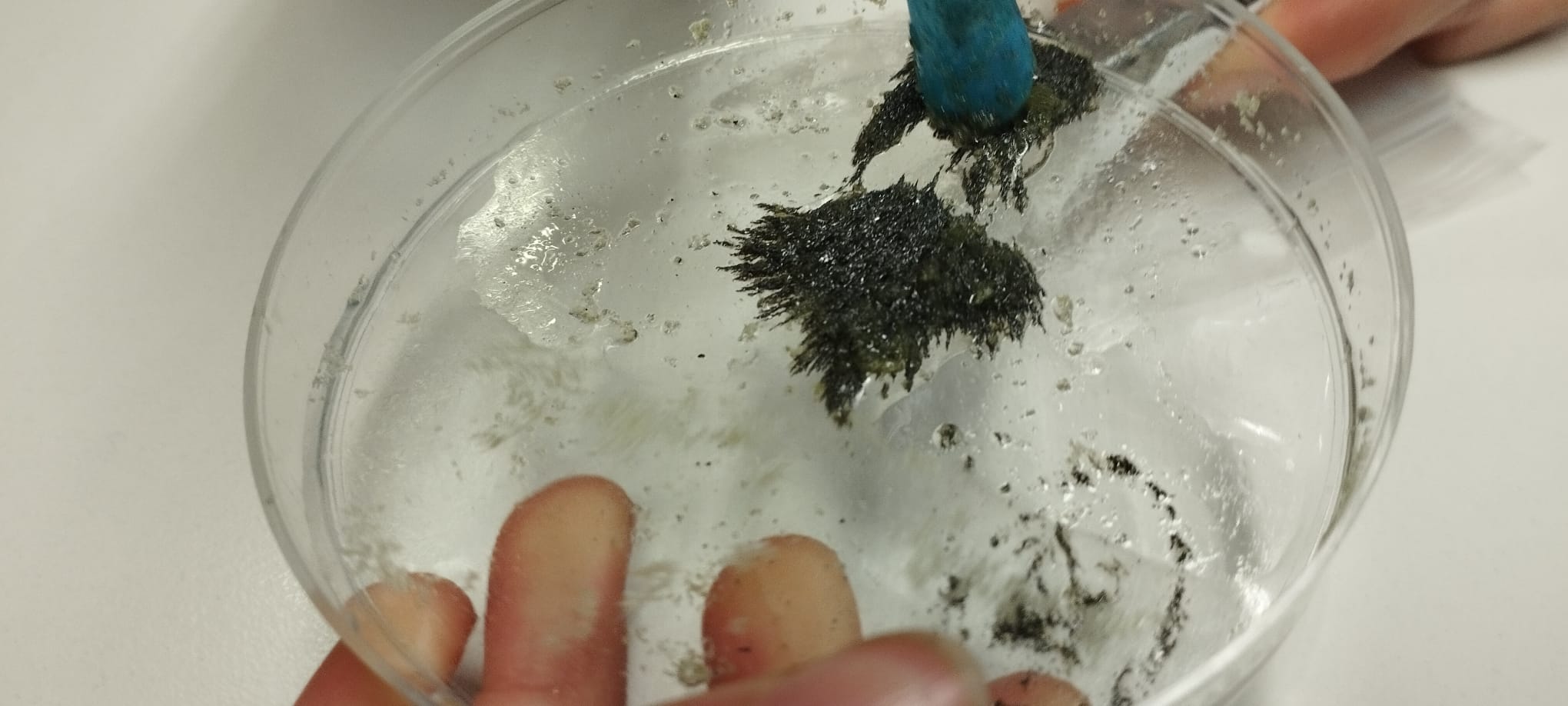 WhatsApp Image 2025-01-20 at 17.35.08