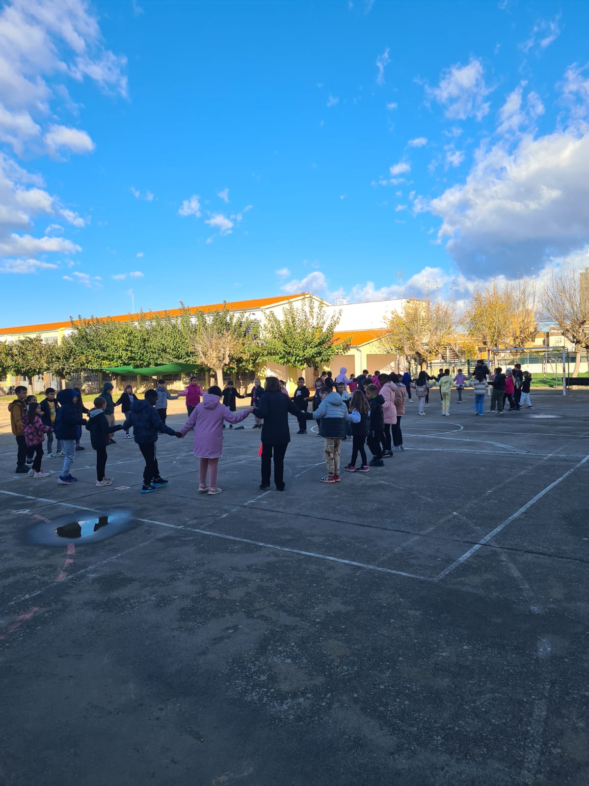 WhatsApp Image 2024-11-27 at 13.05.51 (2)