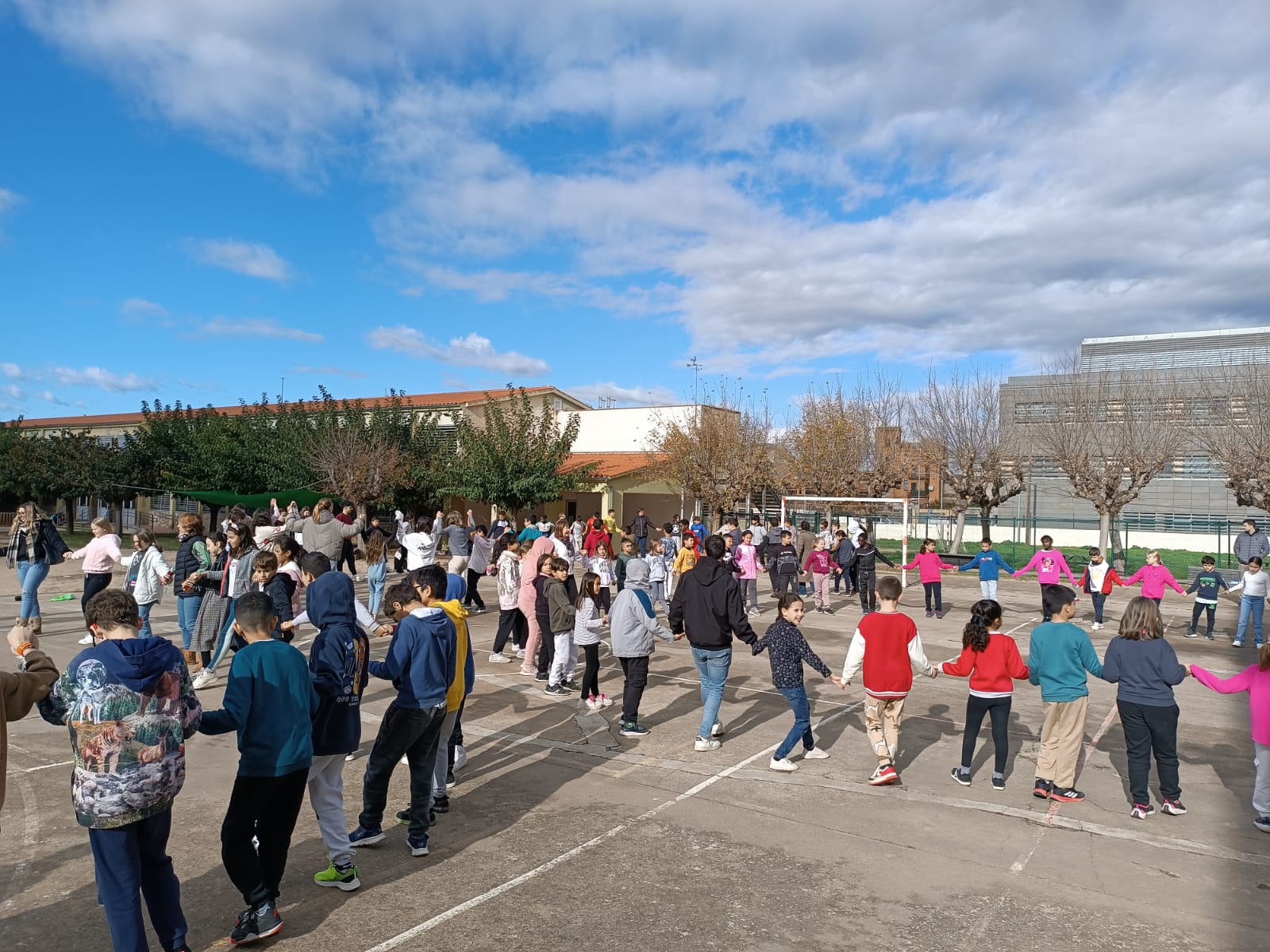 WhatsApp Image 2024-11-27 at 13.05.51