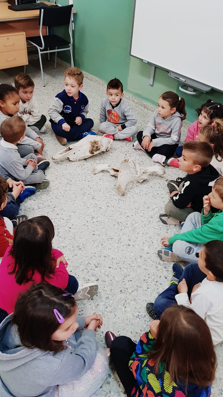 WhatsApp Image 2021-04-07 at 10.43.09