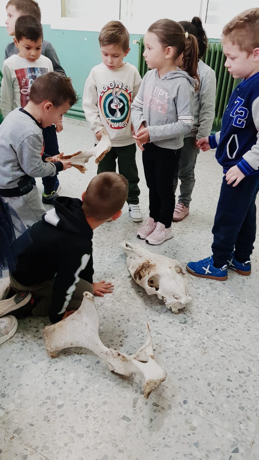 WhatsApp Image 2021-04-07 at 10.43.20