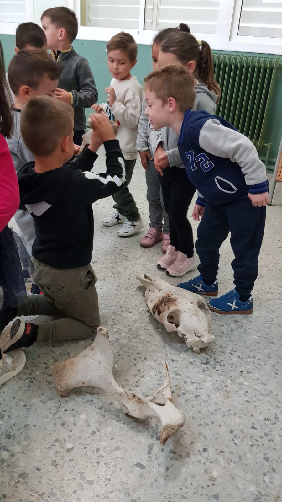 WhatsApp Image 2021-04-07 at 10.44.53