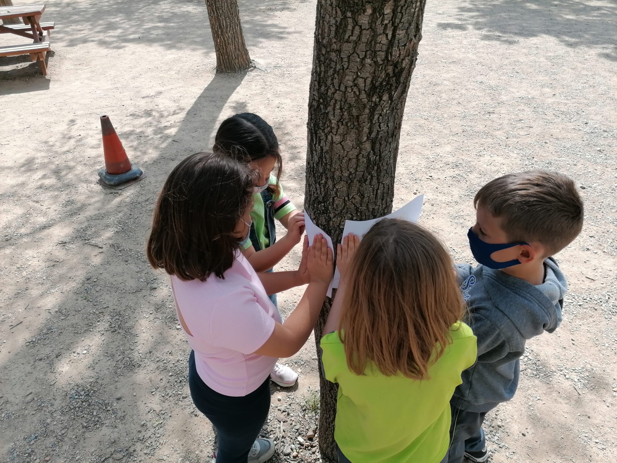 WhatsApp Image 2021-05-13 at 20.51.56