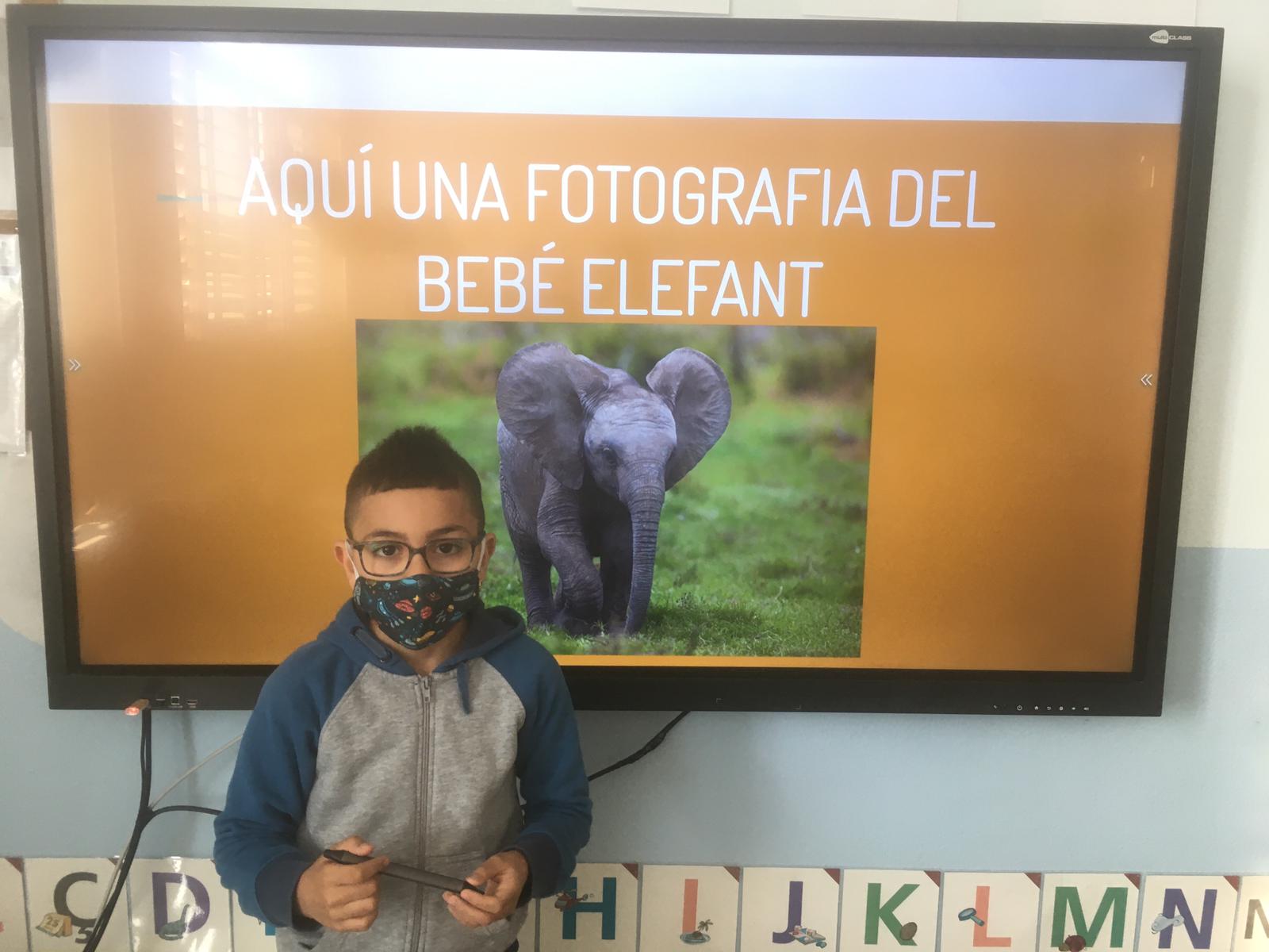 WhatsApp Image 2021-05-14 at 10.42.41 (1)