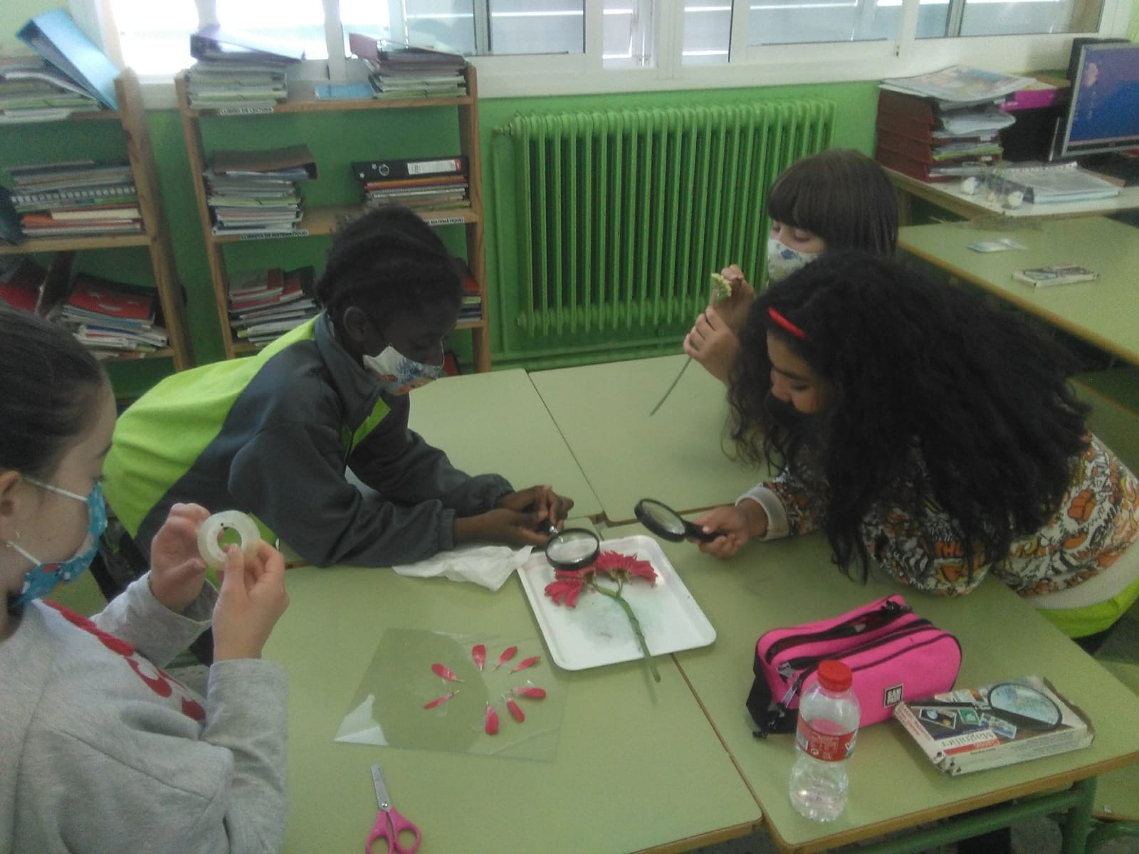 WhatsApp Image 2021-05-14 at 16.18.51