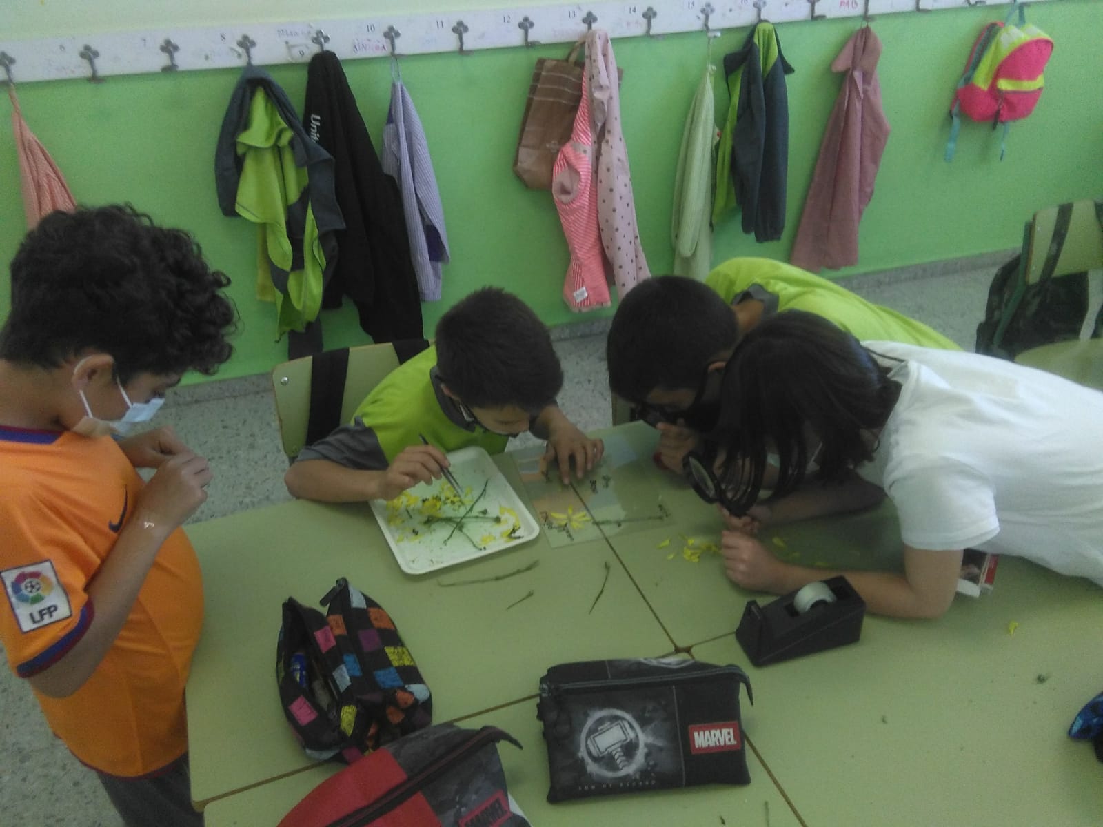 WhatsApp Image 2021-05-14 at 16.18.52