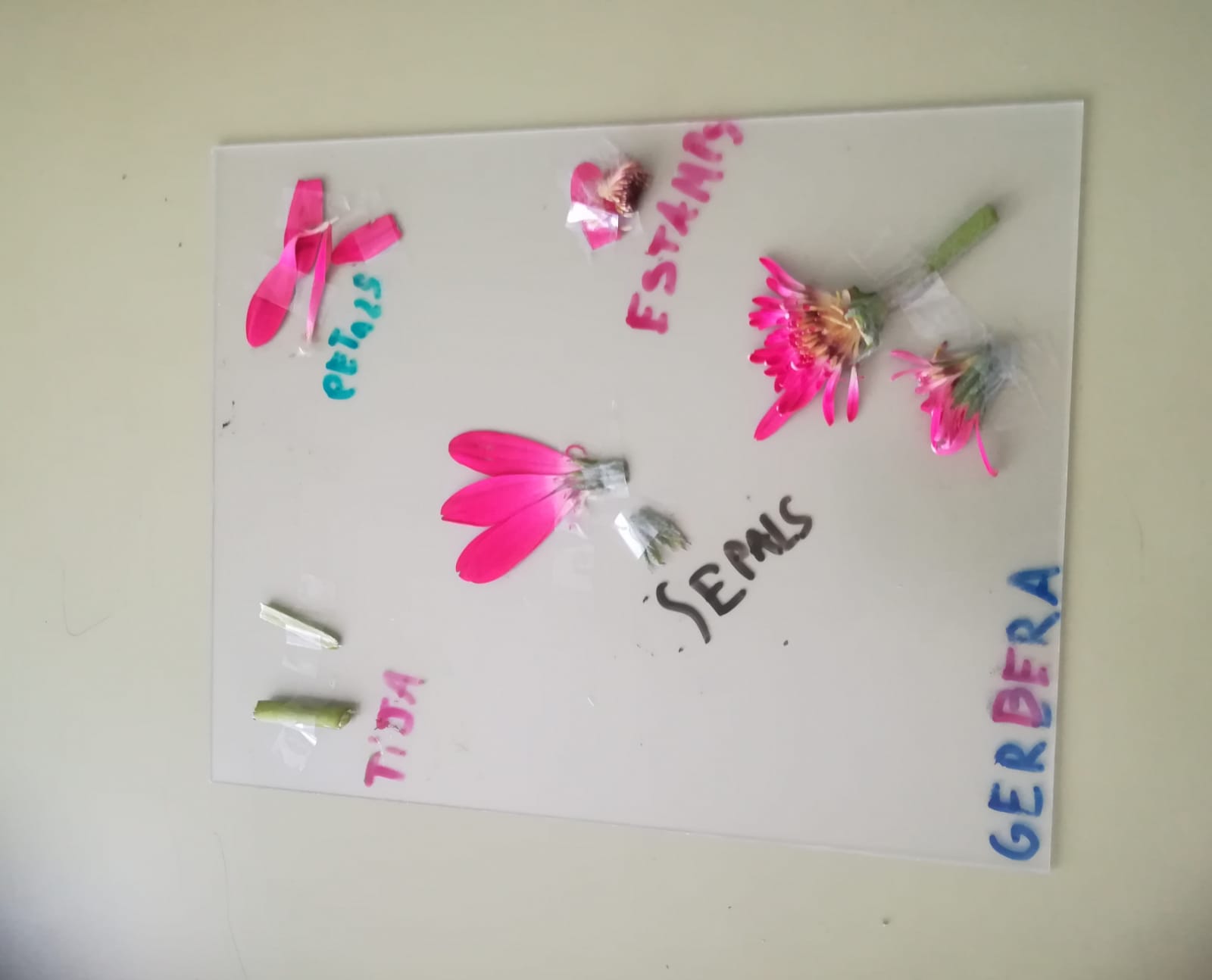 WhatsApp Image 2021-05-14 at 16.54.24