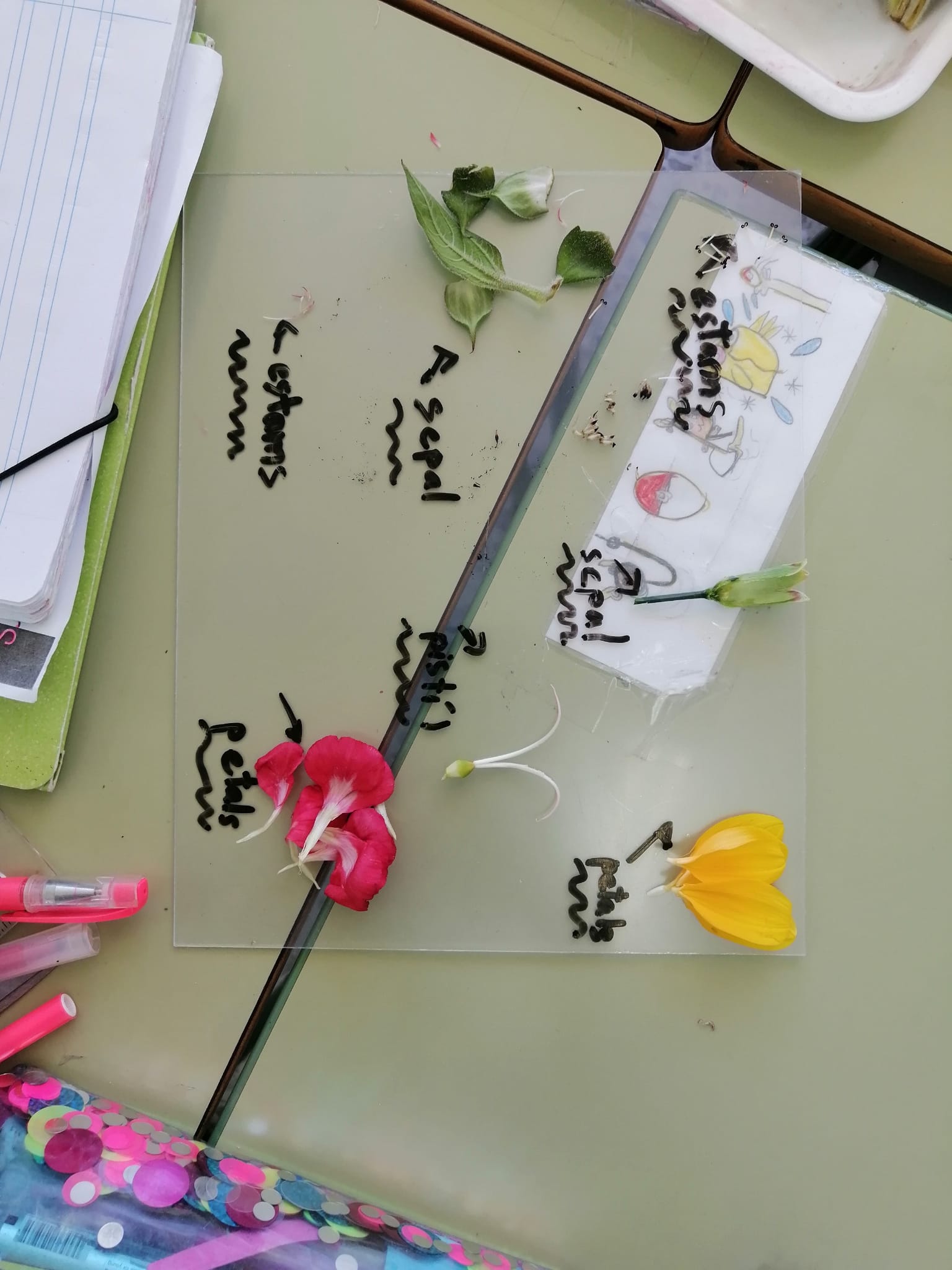 WhatsApp Image 2021-05-14 at 17.05.36 (1)