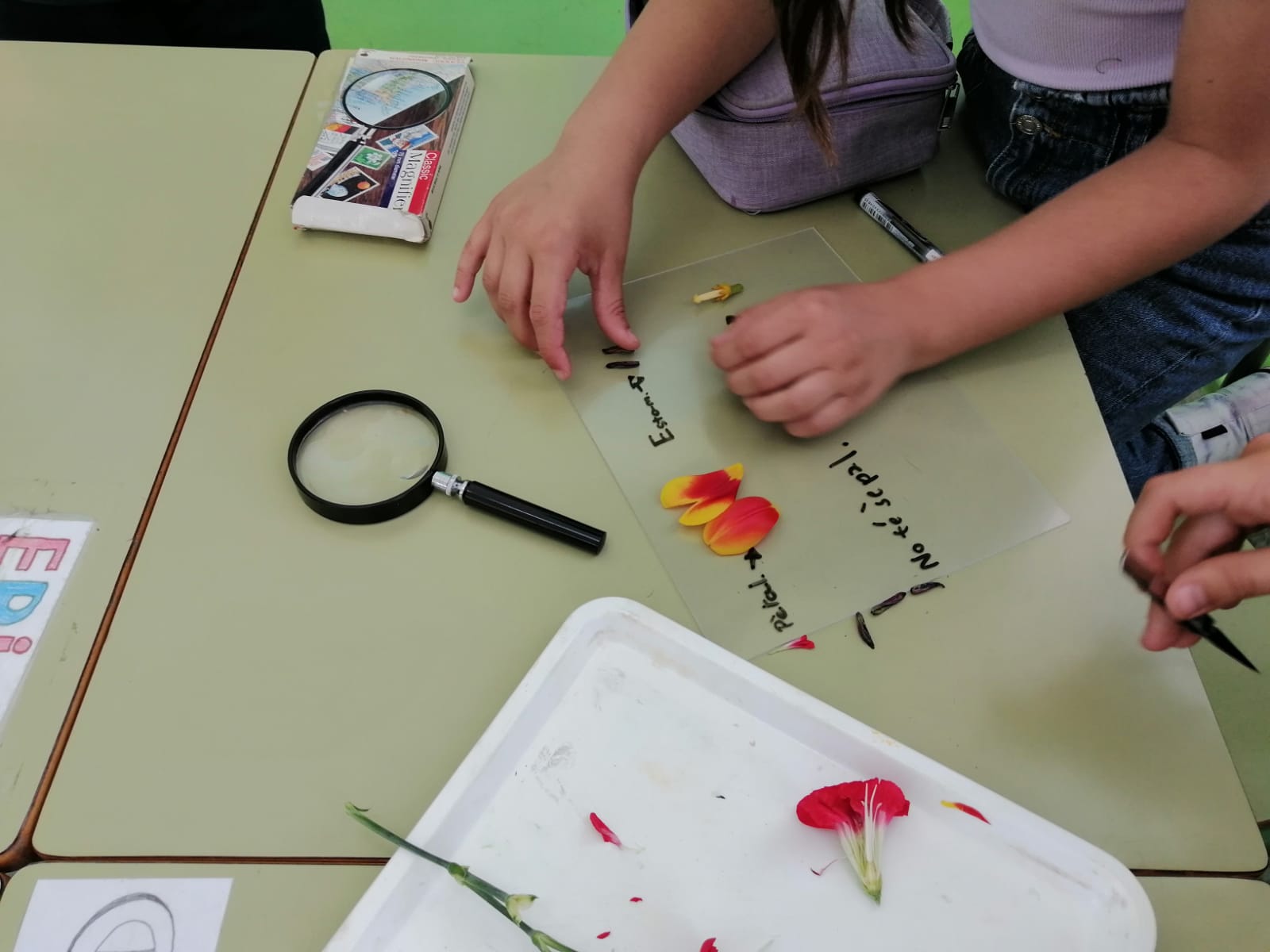 WhatsApp Image 2021-05-14 at 17.05.36