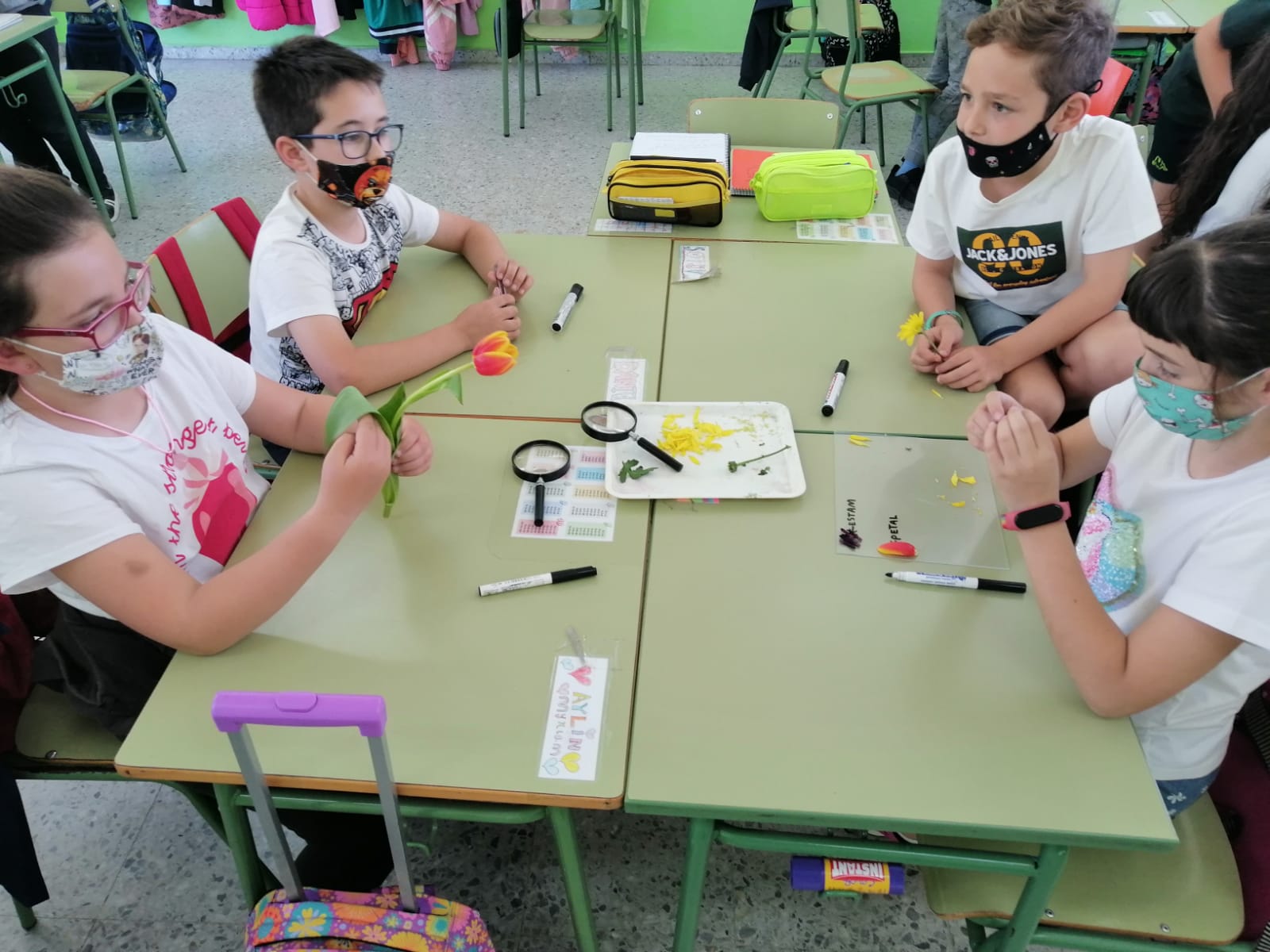 WhatsApp Image 2021-05-14 at 17.05.37 (1)