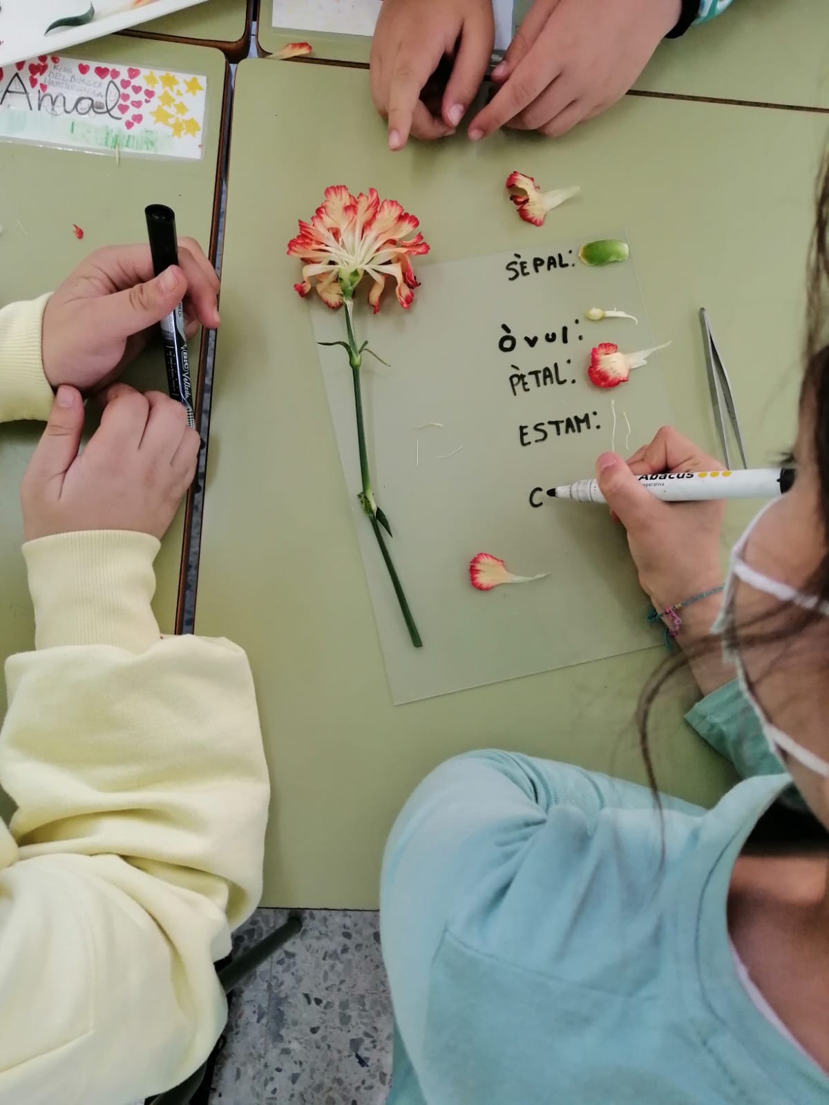 WhatsApp Image 2021-05-14 at 17.05.37 (2)