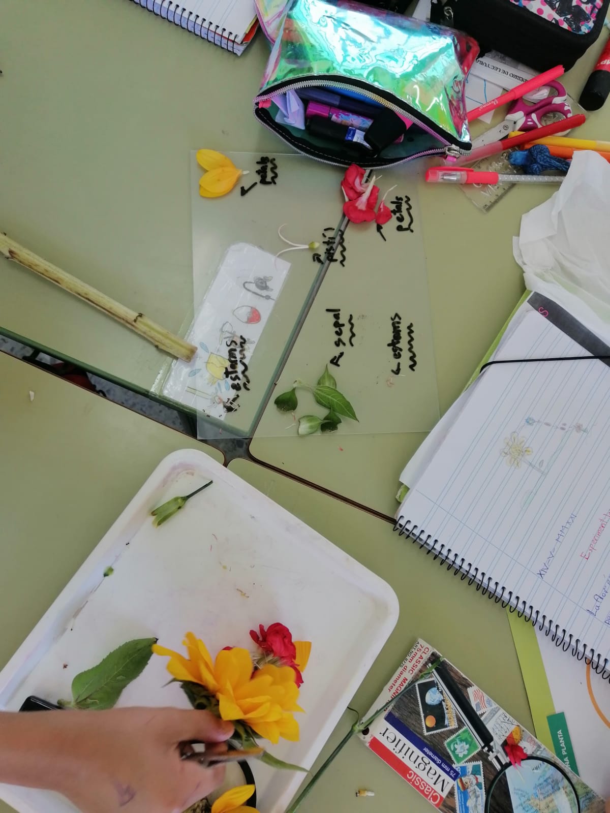 WhatsApp Image 2021-05-14 at 17.05.37