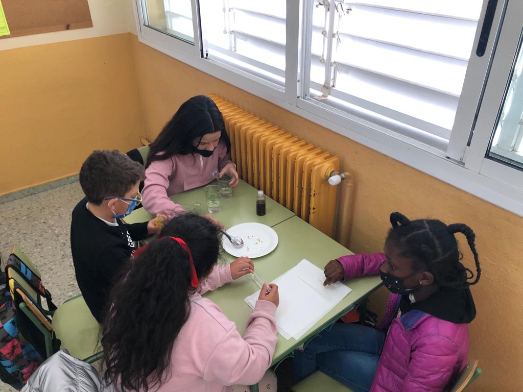 08275a0d-f22e-4b2d-a862-a3be2d41fbfc