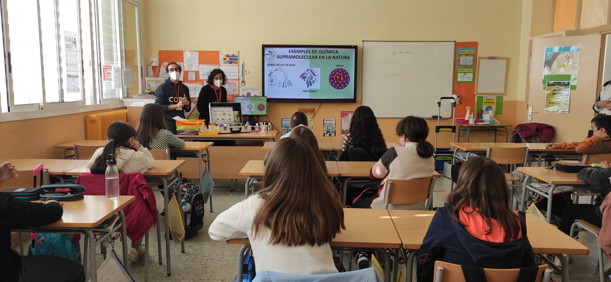 31d6ec35-ee96-4b2d-a5d8-6056fbc47e05